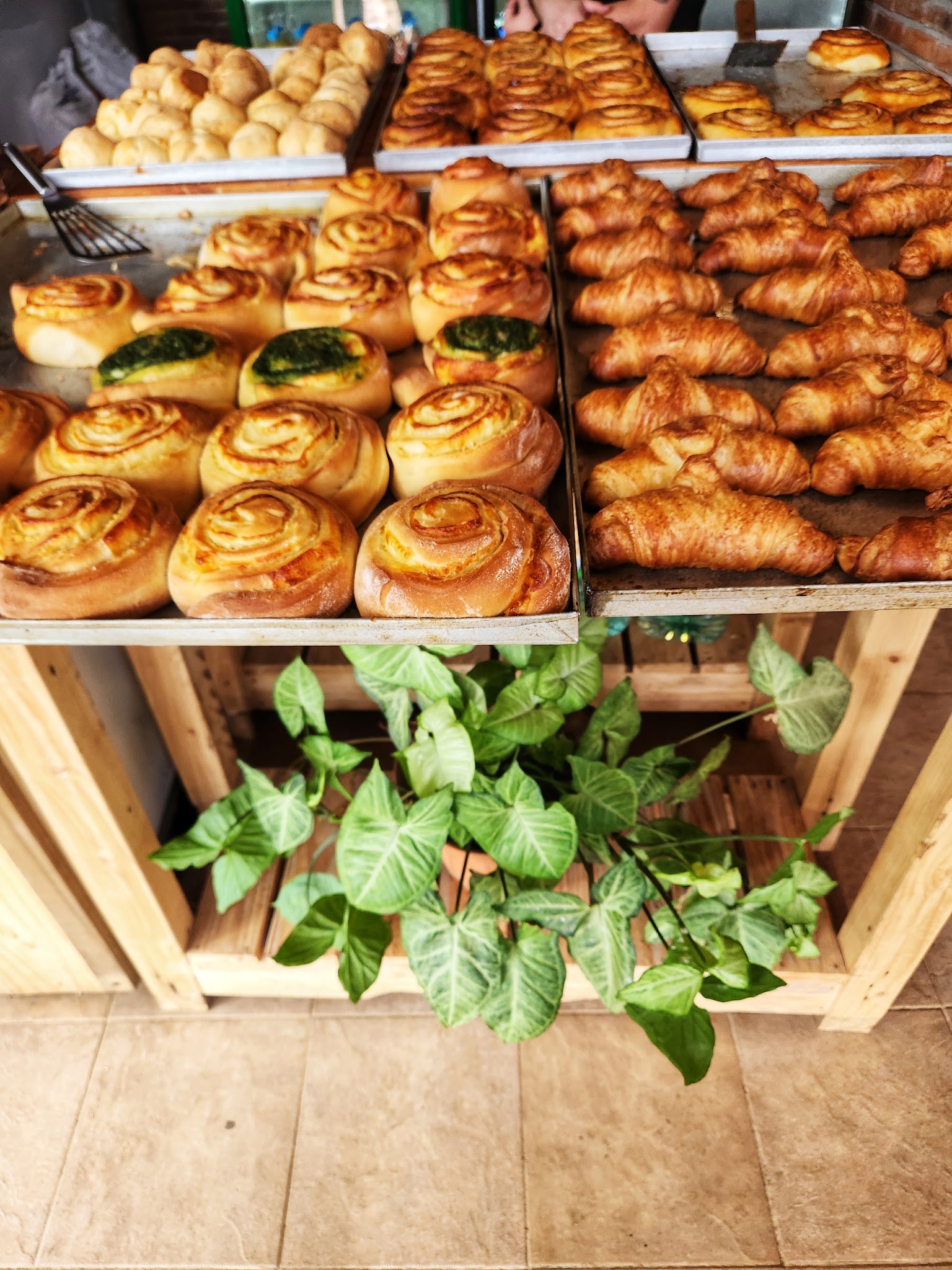 Panaderia Bolivar Mostrador