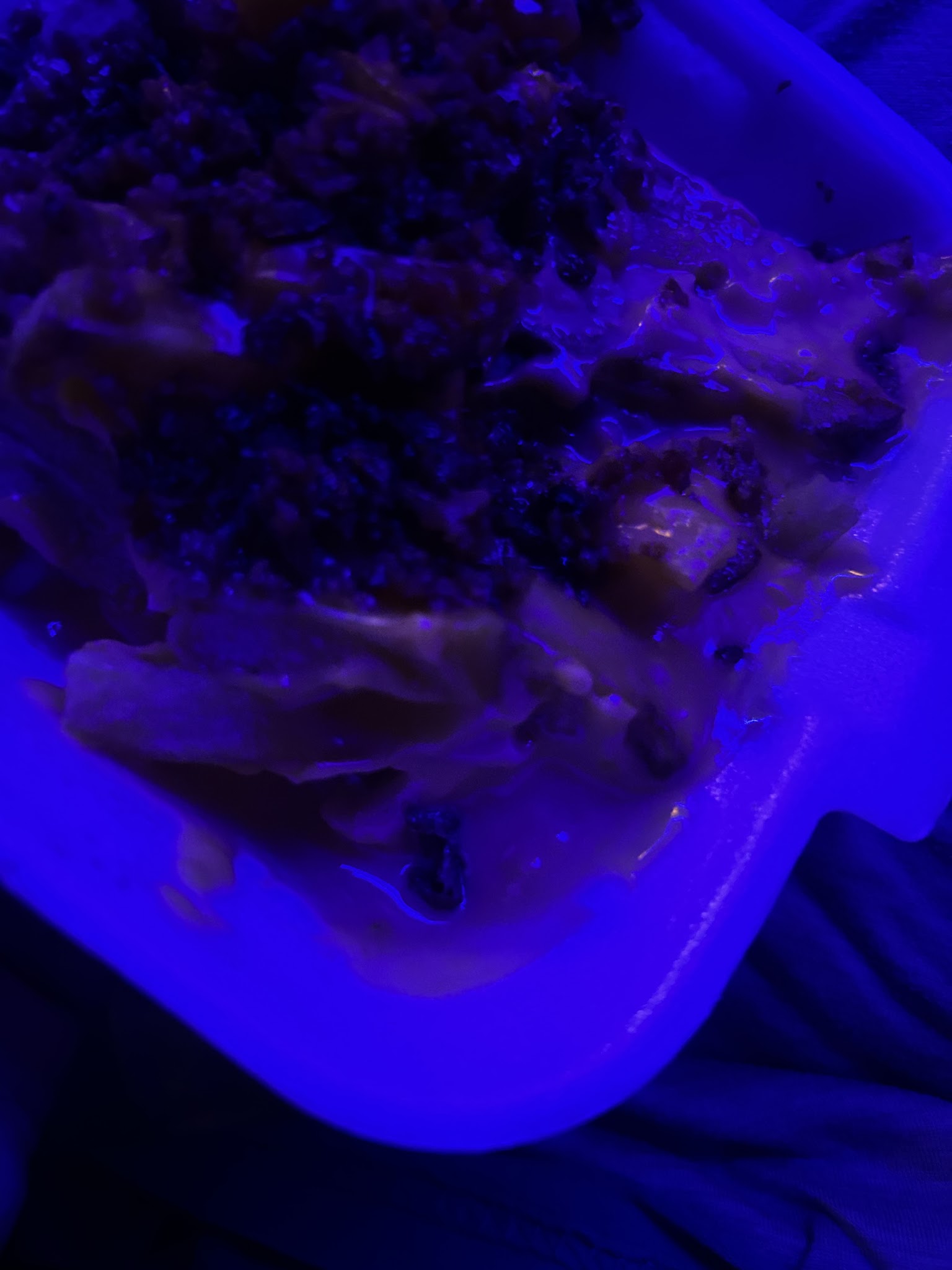 Dana´s Burgers