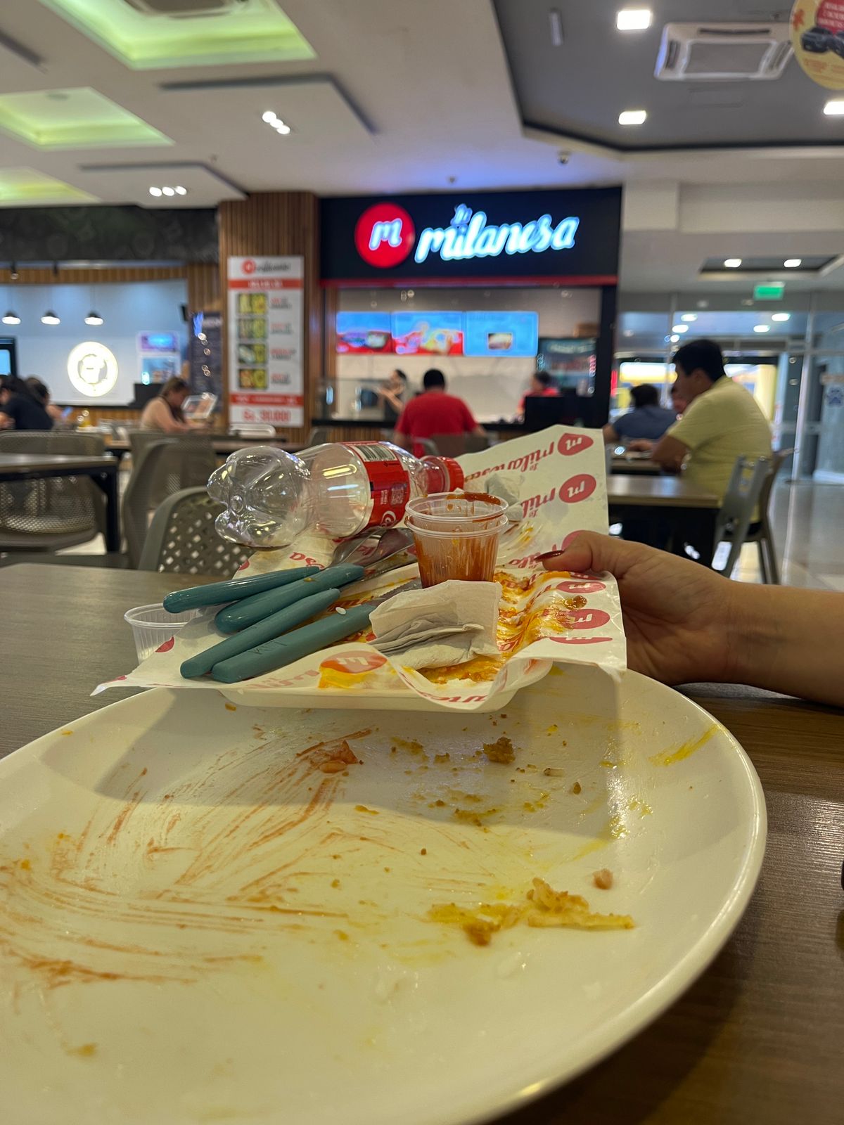 La Milanesa Multiplaza