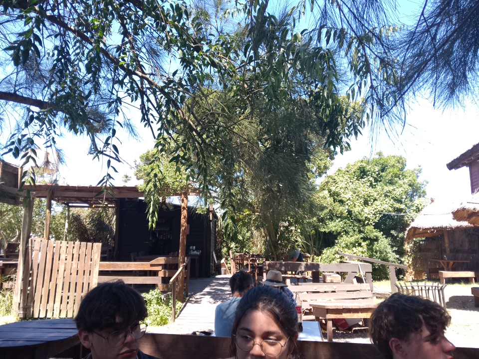 La Jarana