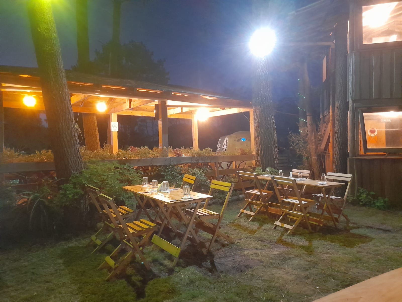 Hongo luminoso