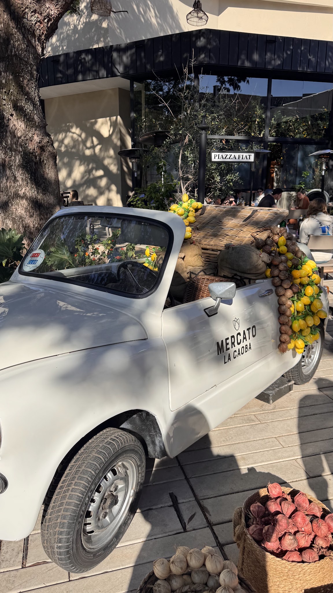 Mercato La Caoba