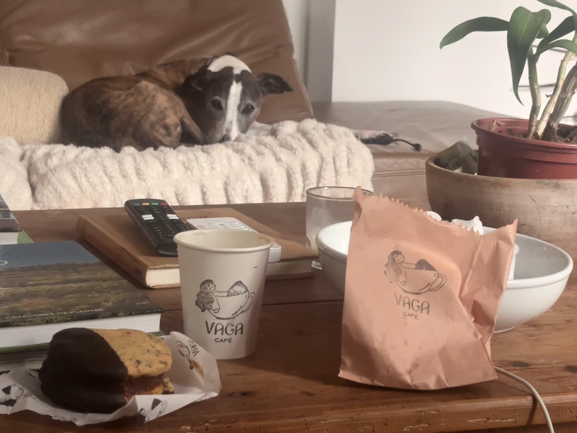 Vaga café