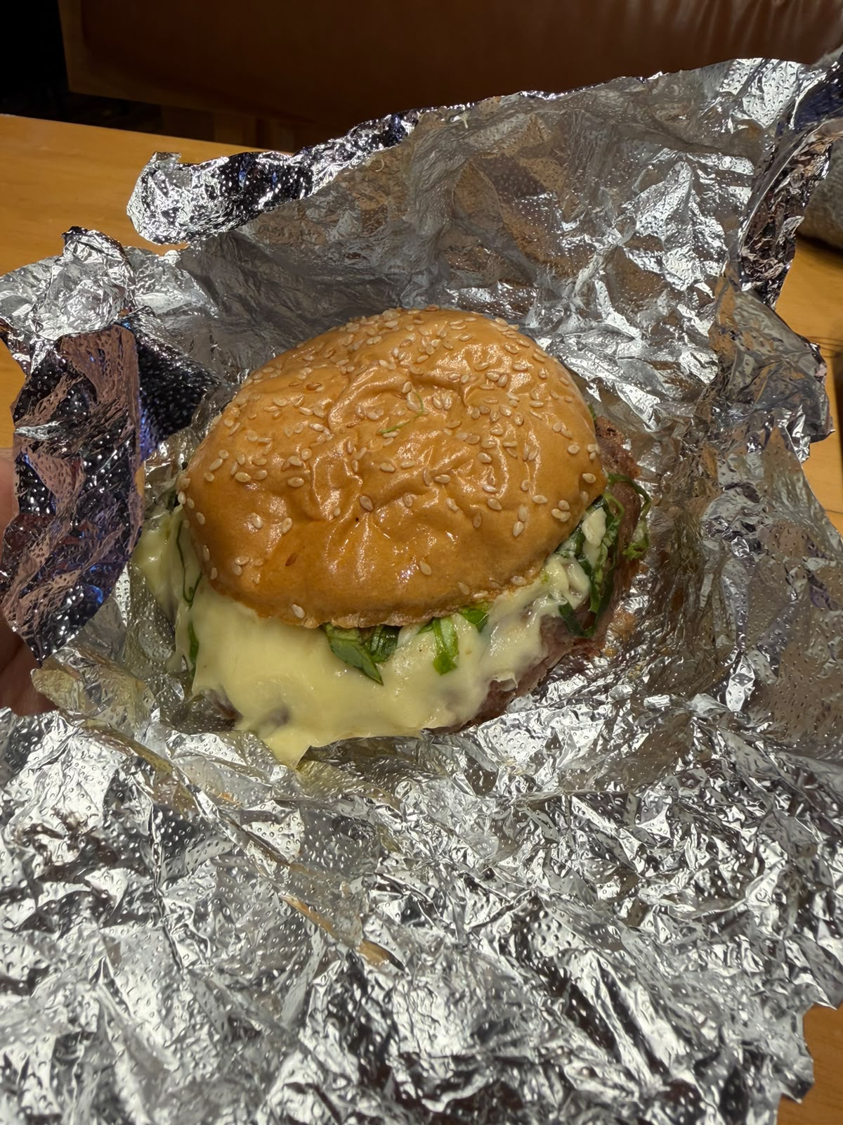 TBV - The Burger Vilas Pocitos