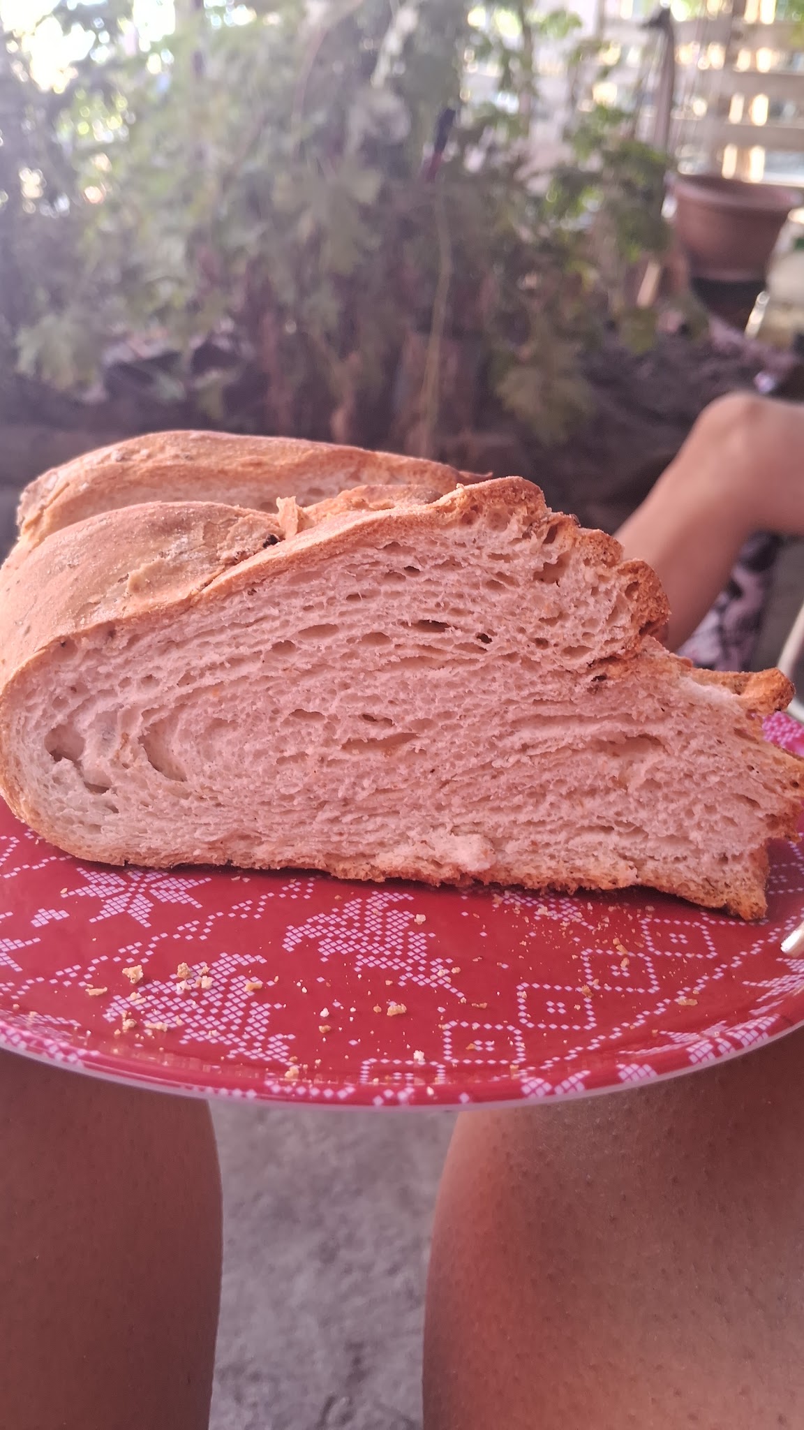 Panaderia Centenario Hnos.