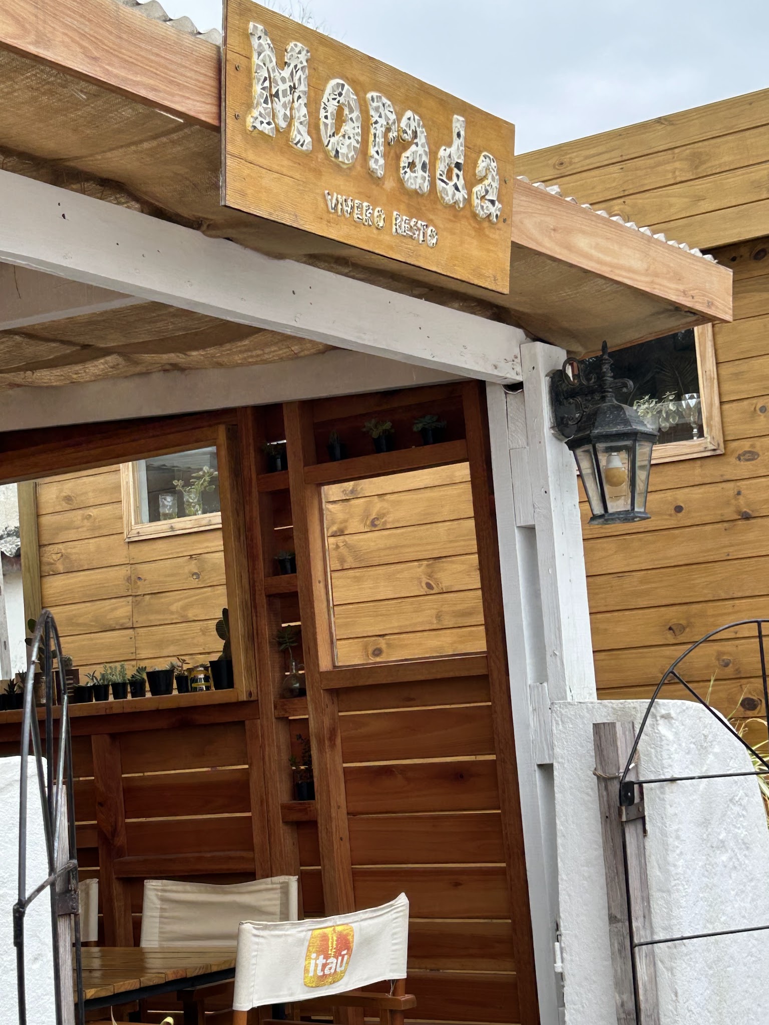 Morada vivero resto