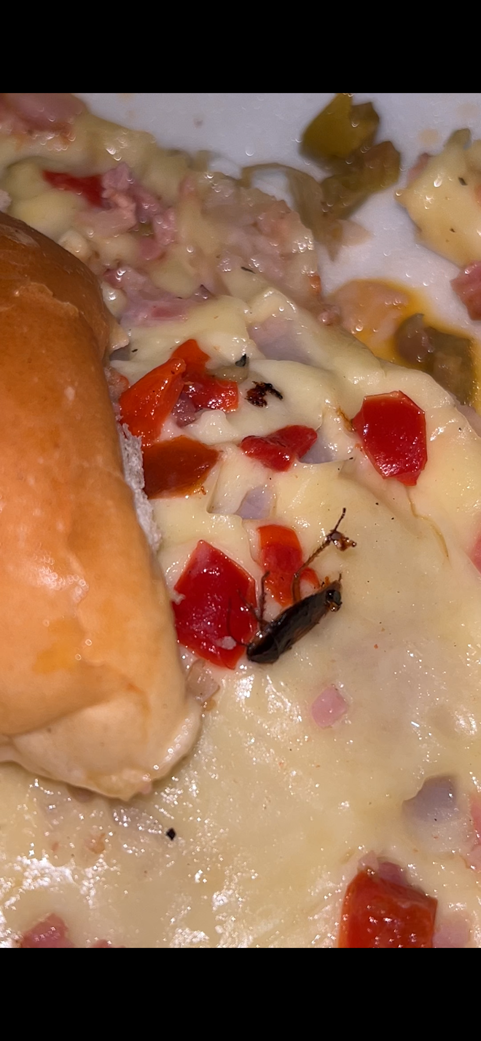 Pizzas Dalí
