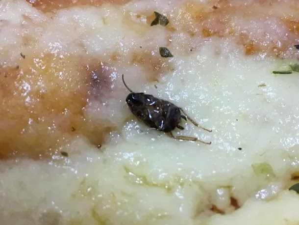 Pizzería Avenida