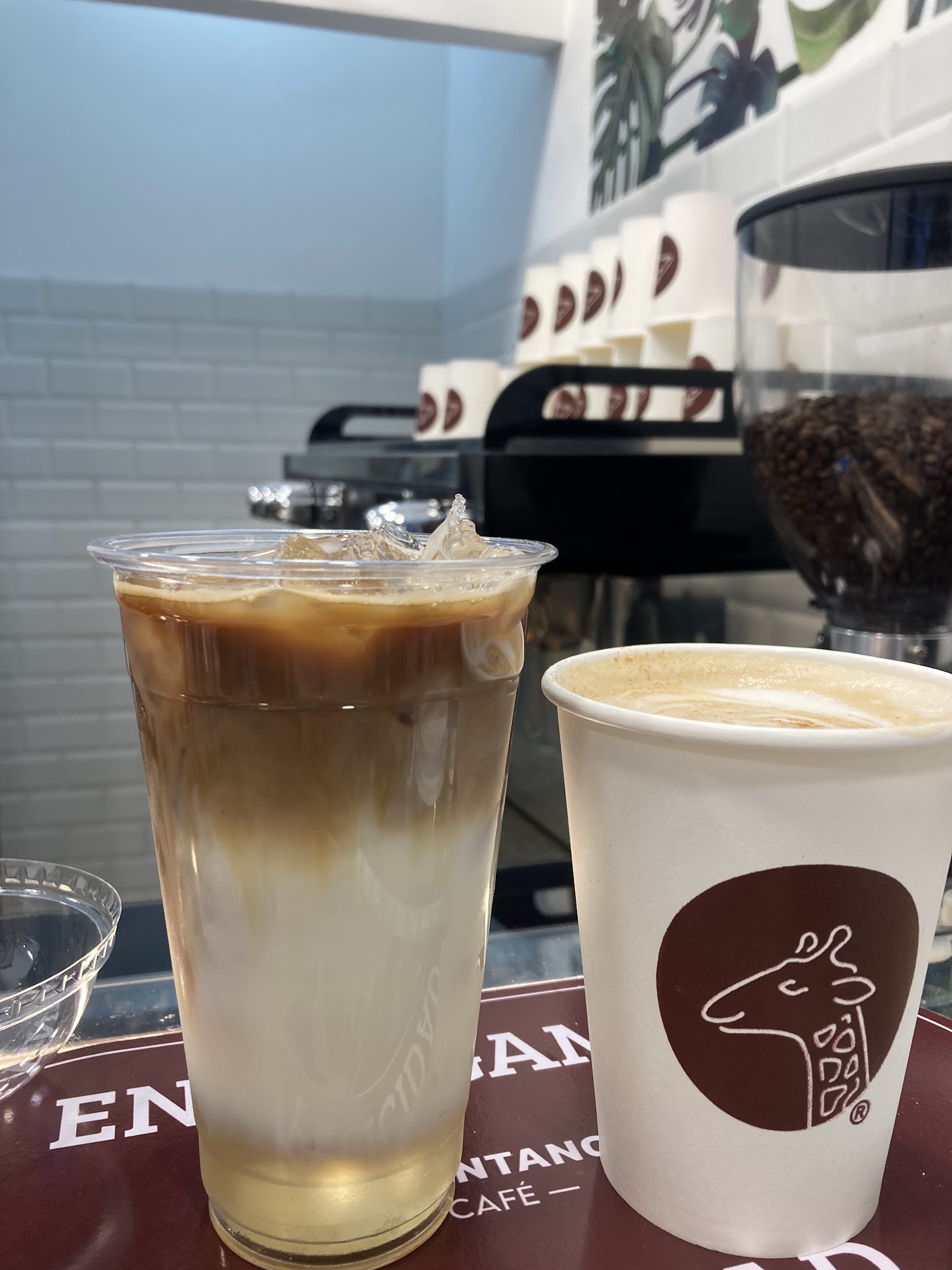 Valontano Café