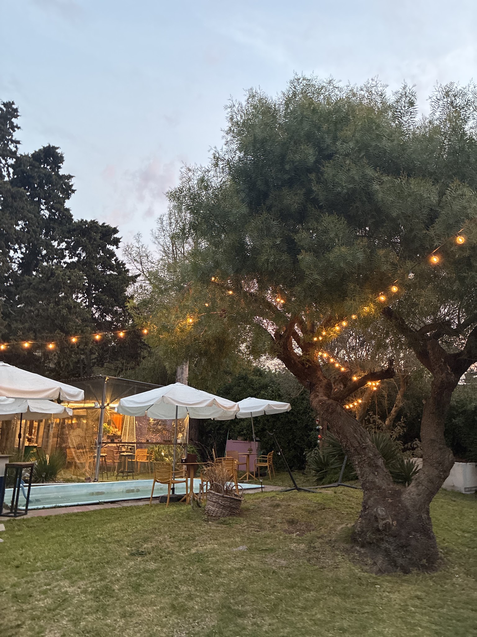 Alma Café El Pinar