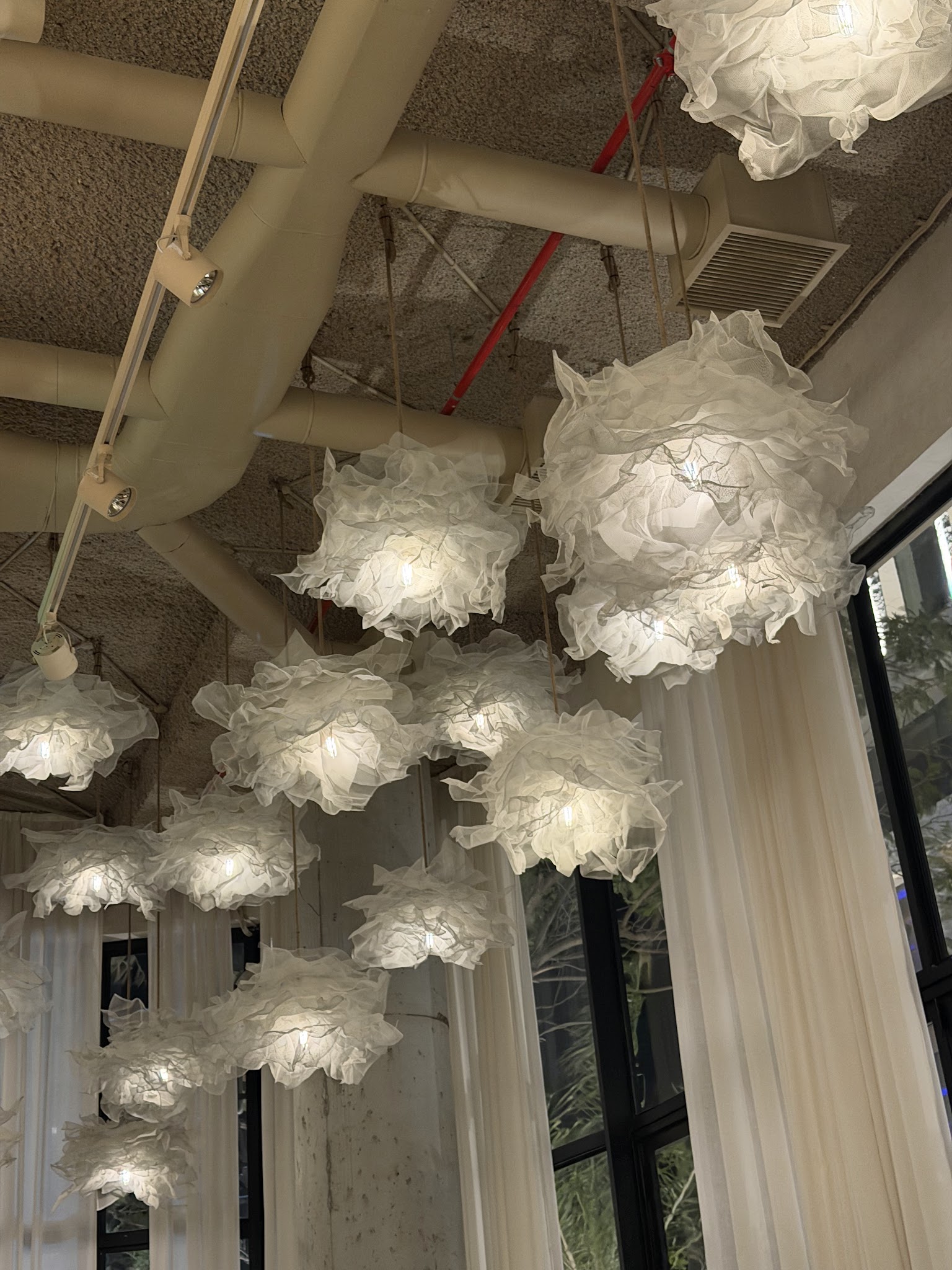 Fabric Sushi Distrito Perseverancia