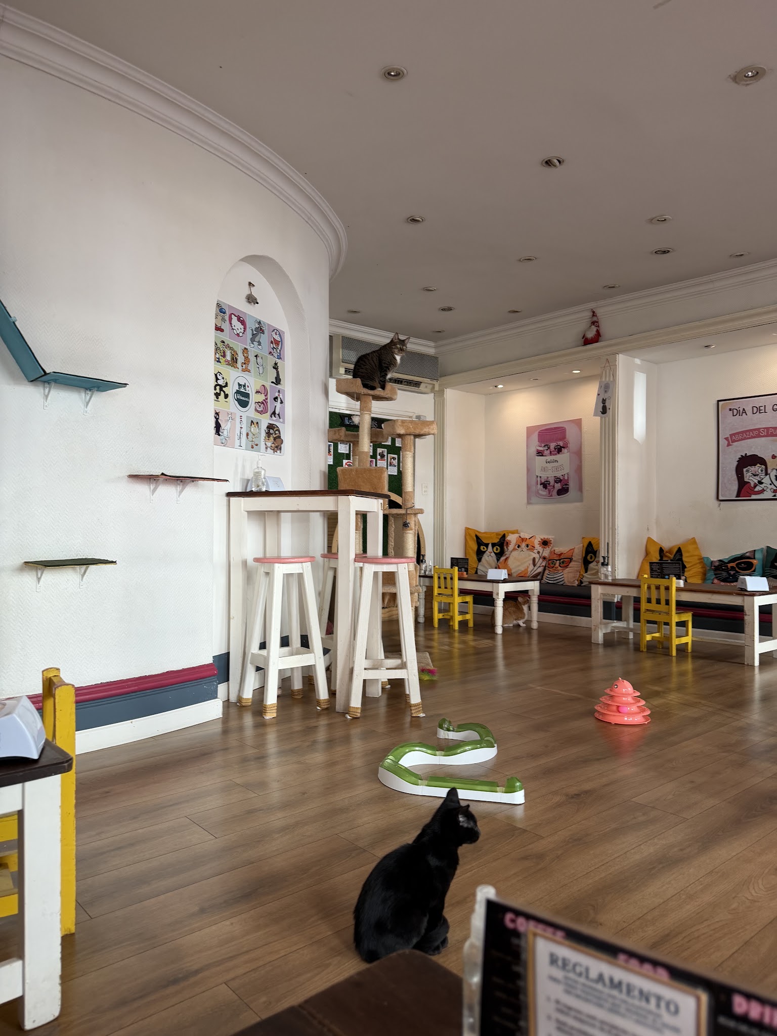 ADRIANUZCA'S CAT CAFÉ ☕🐈