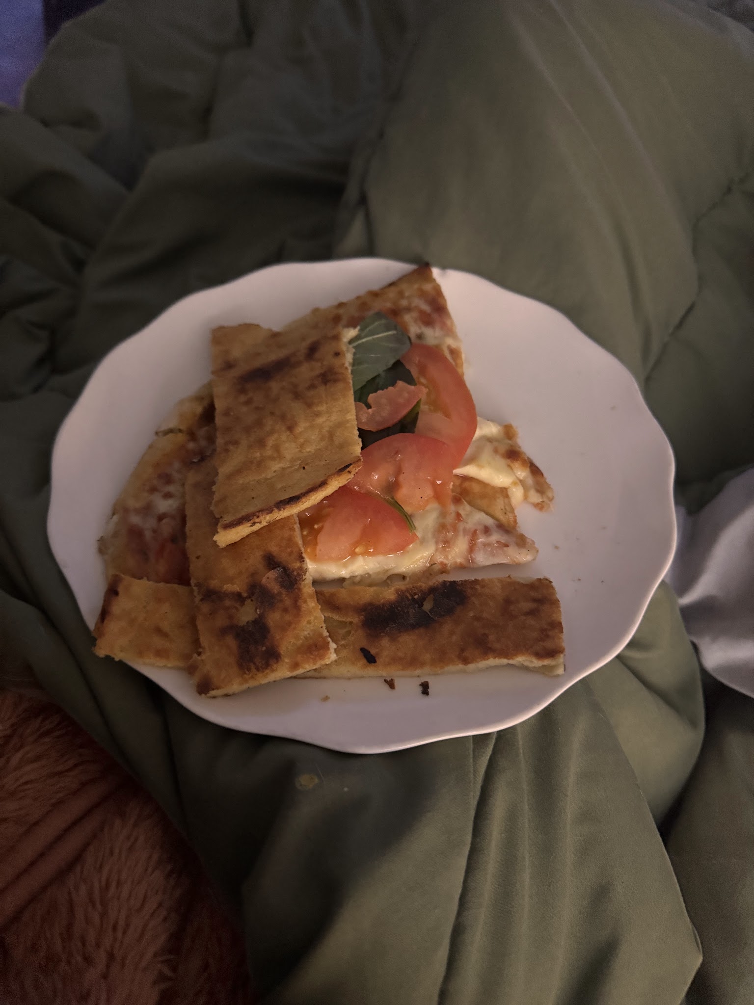 Pizza's House
