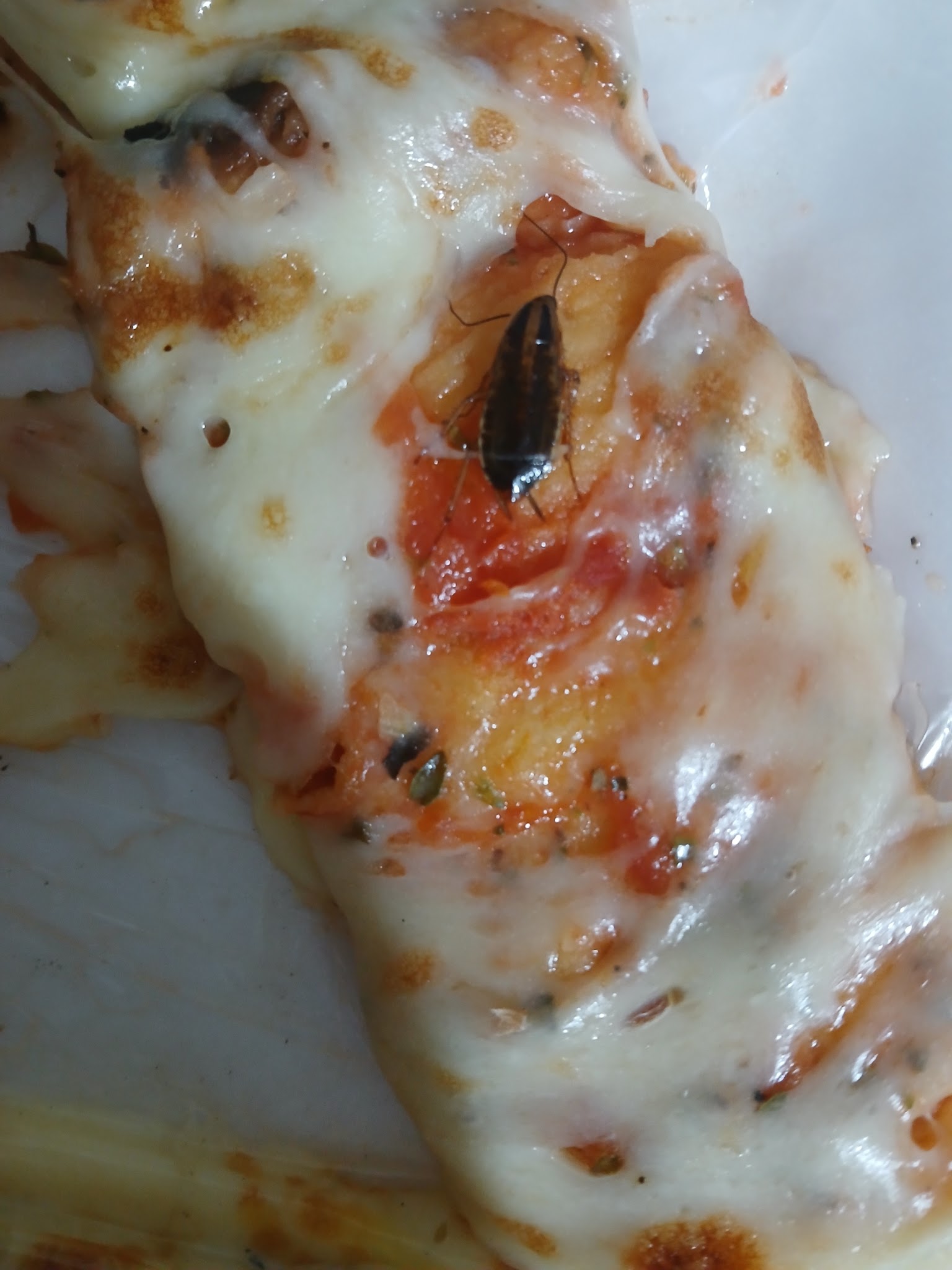 Pizzería Cervantes