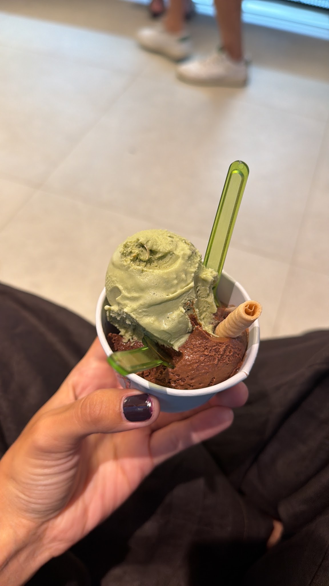 Gelateria Arlecchino
