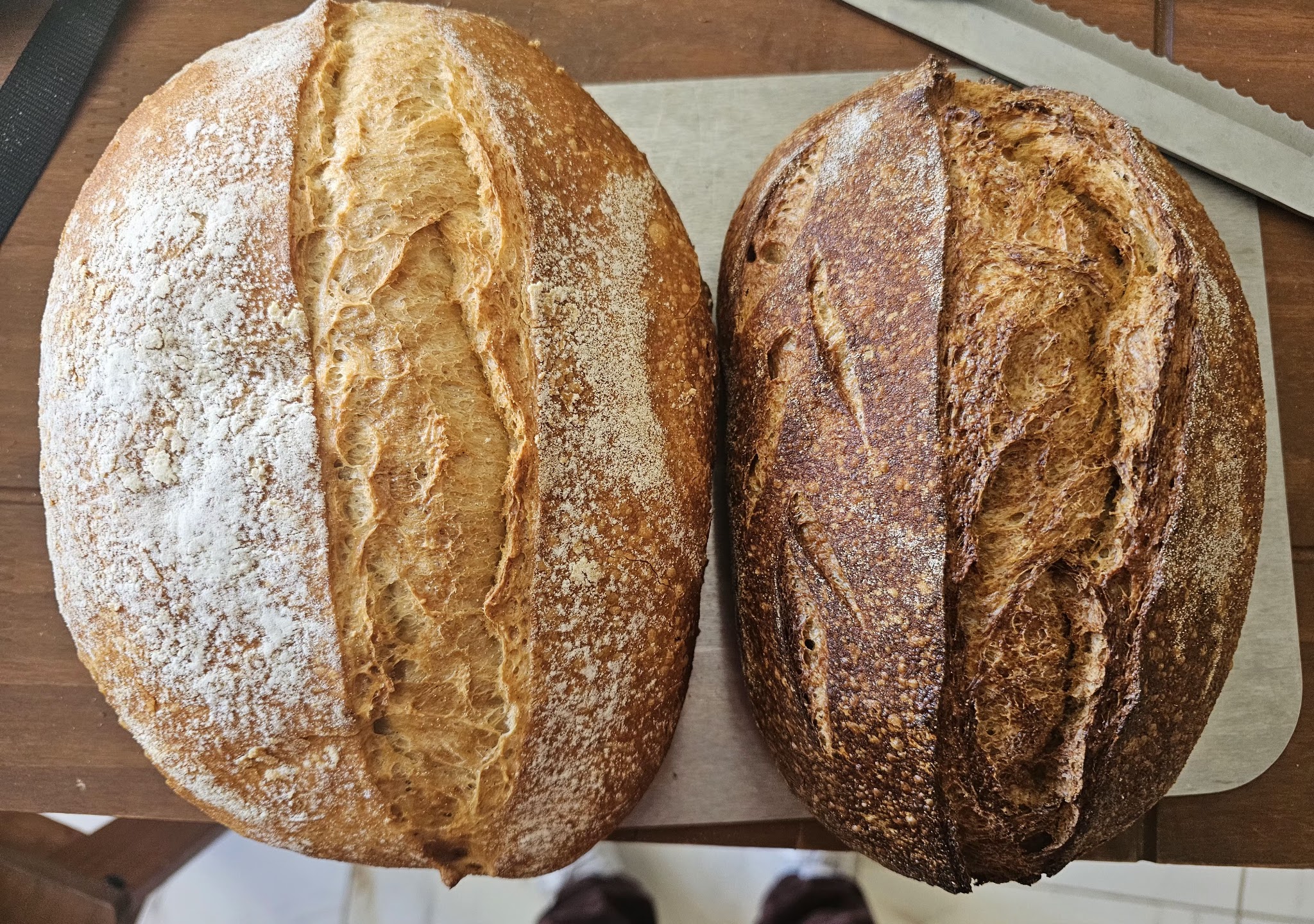 Basilico