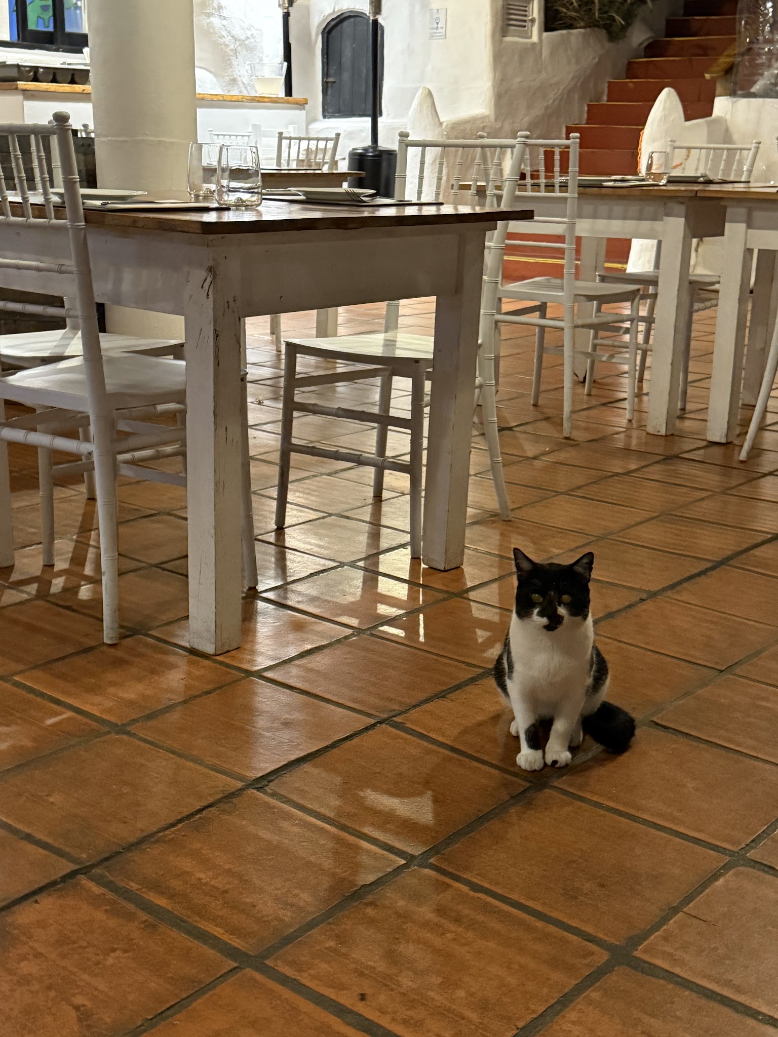 Restaurante "Terrazas de Casapueblo"