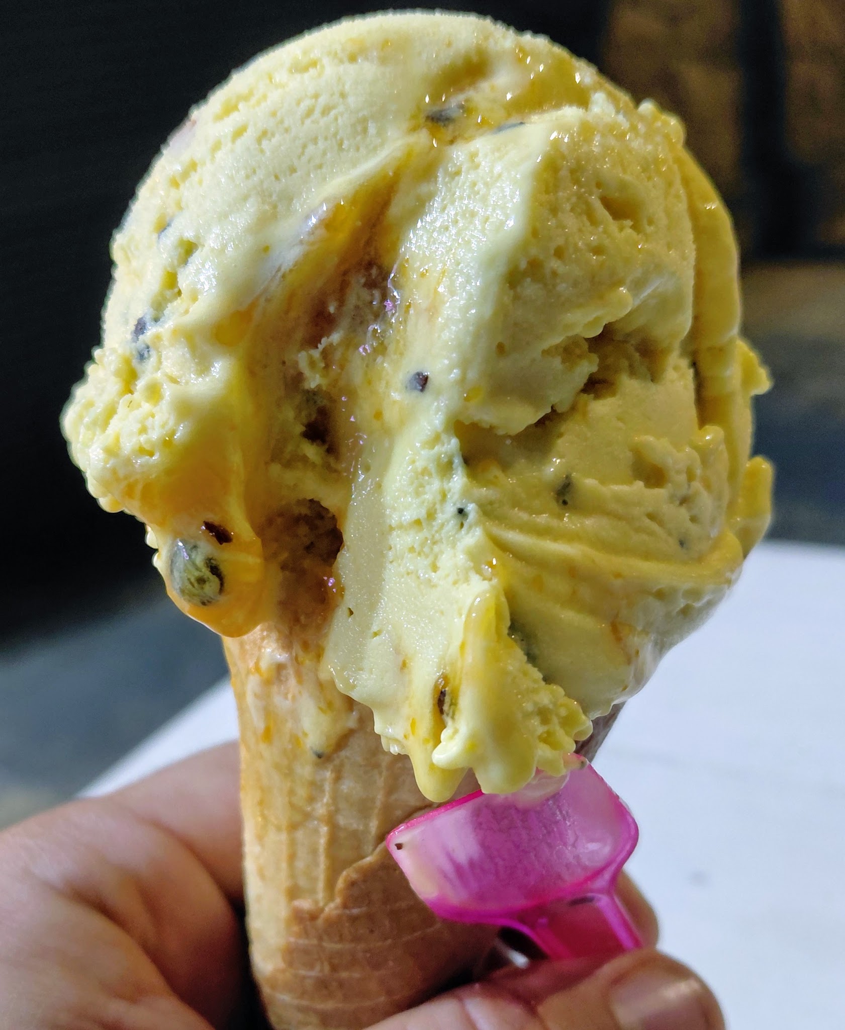 Amado Helado