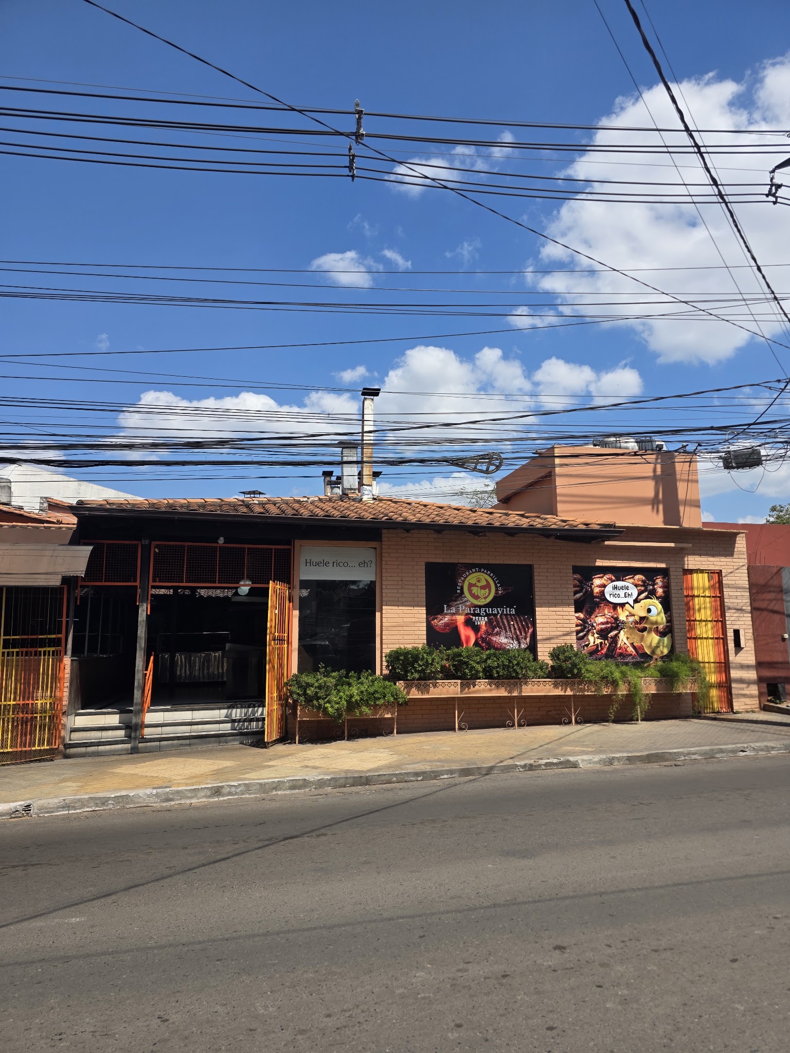 La Paraguayita