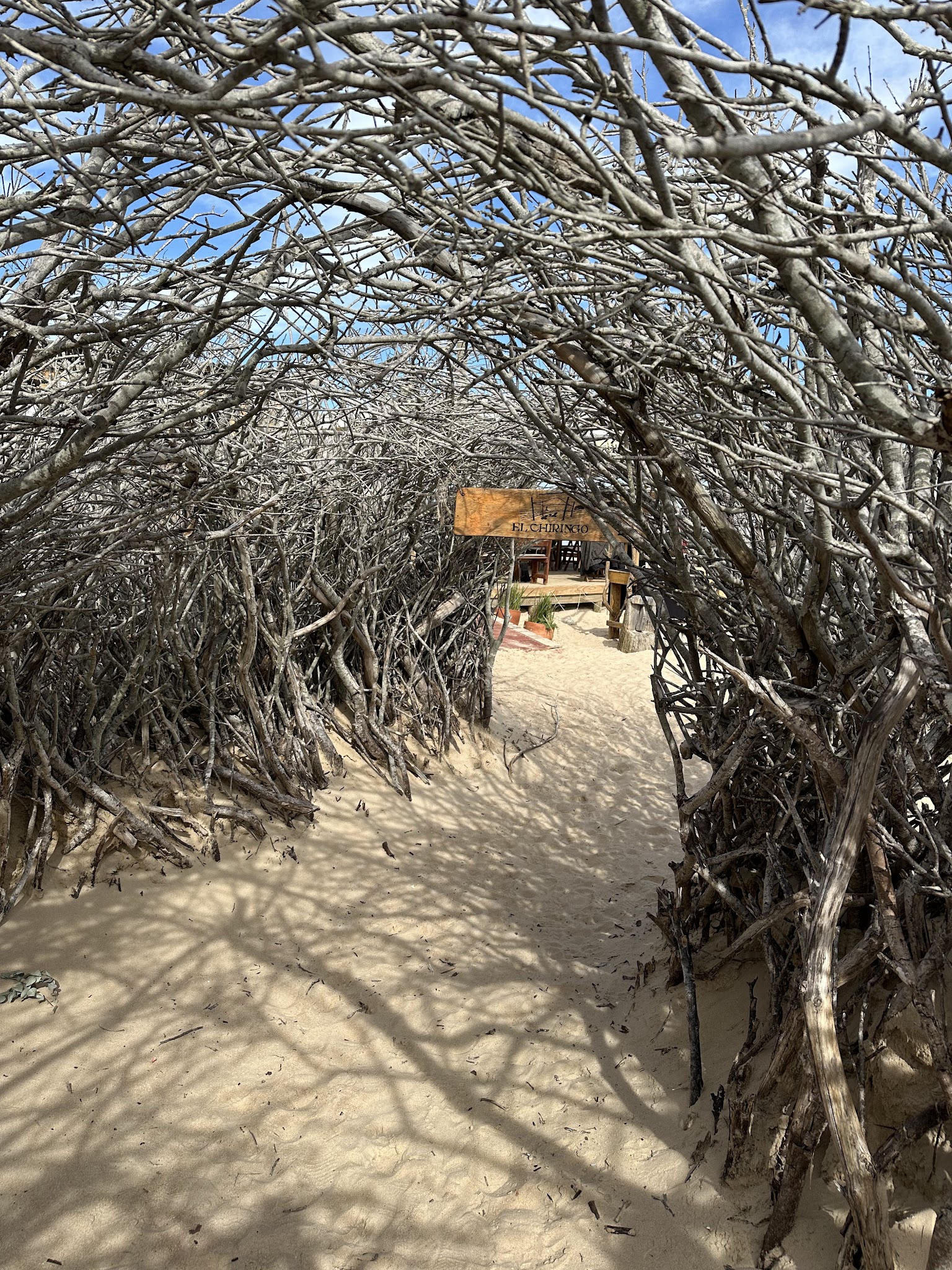 El Chiringo José Ignacio
