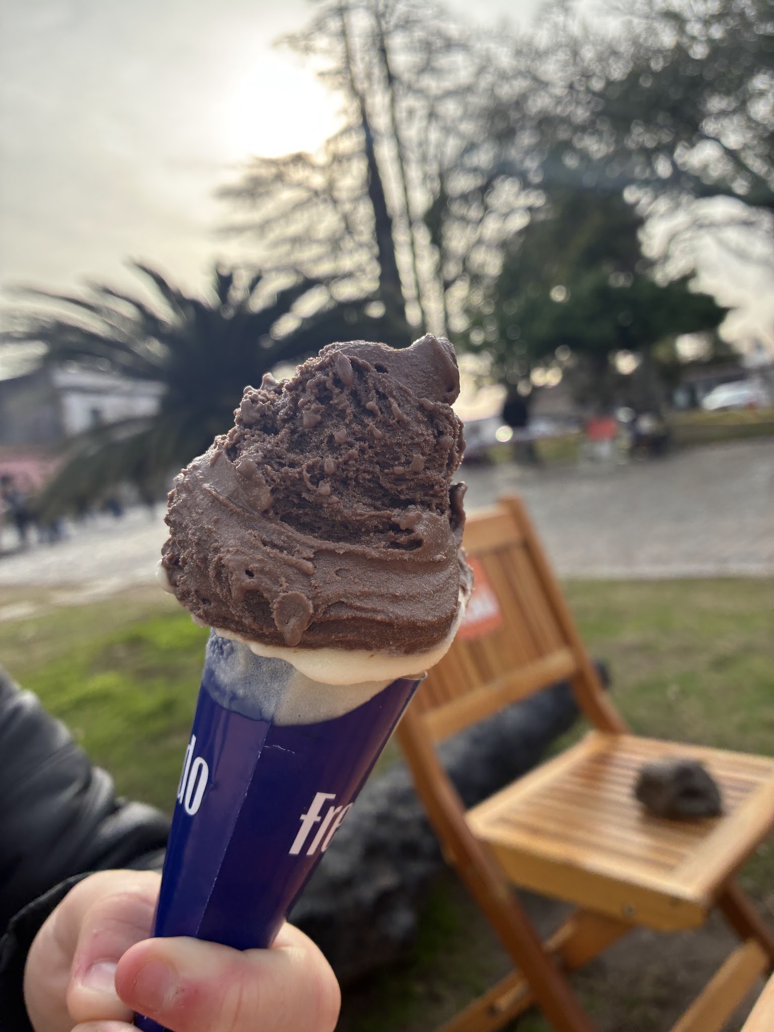 Freddo