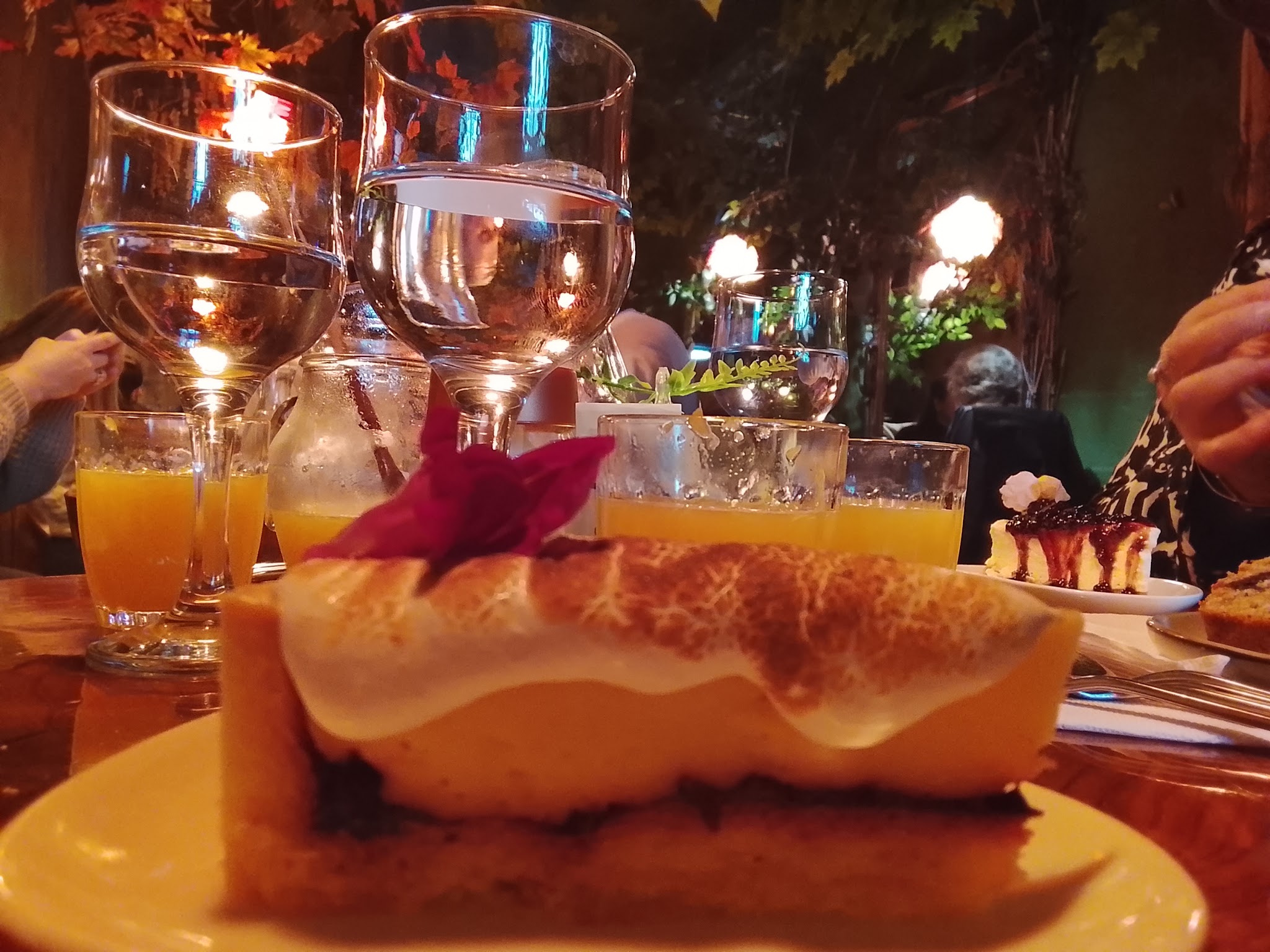 El Bosque Restaurante - Café