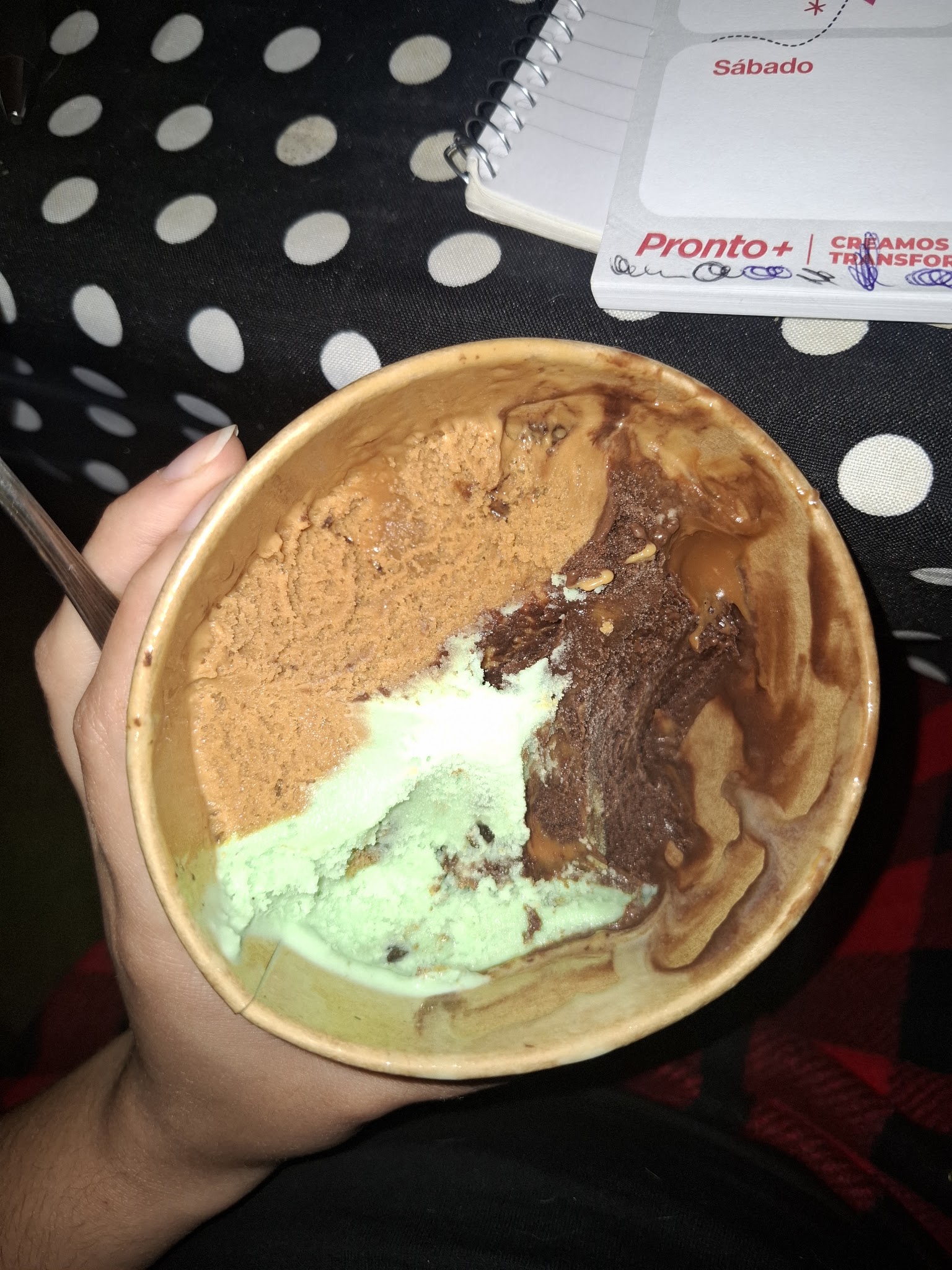 EmiLu Helados Y Rotiseria