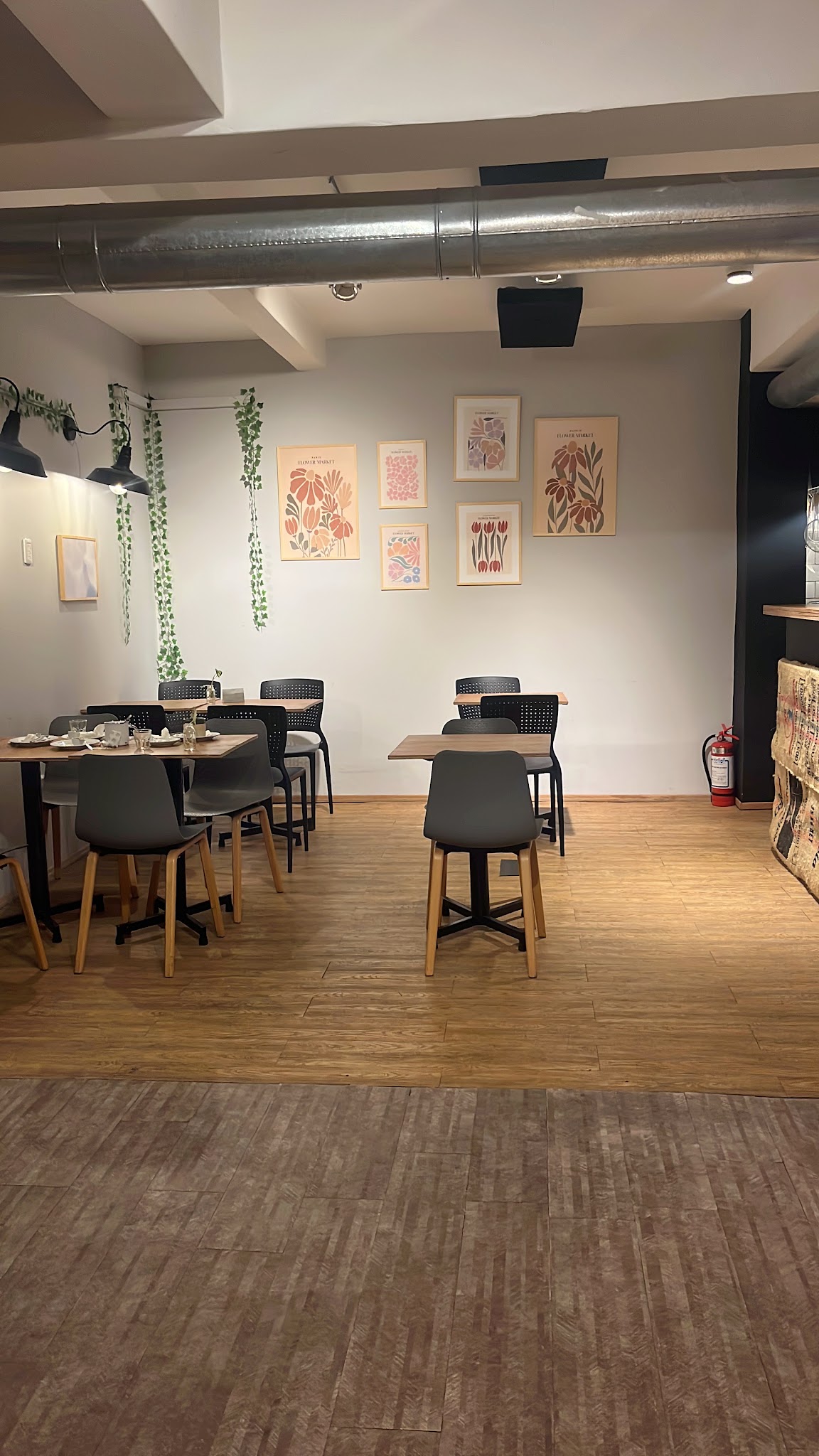 Sauco café