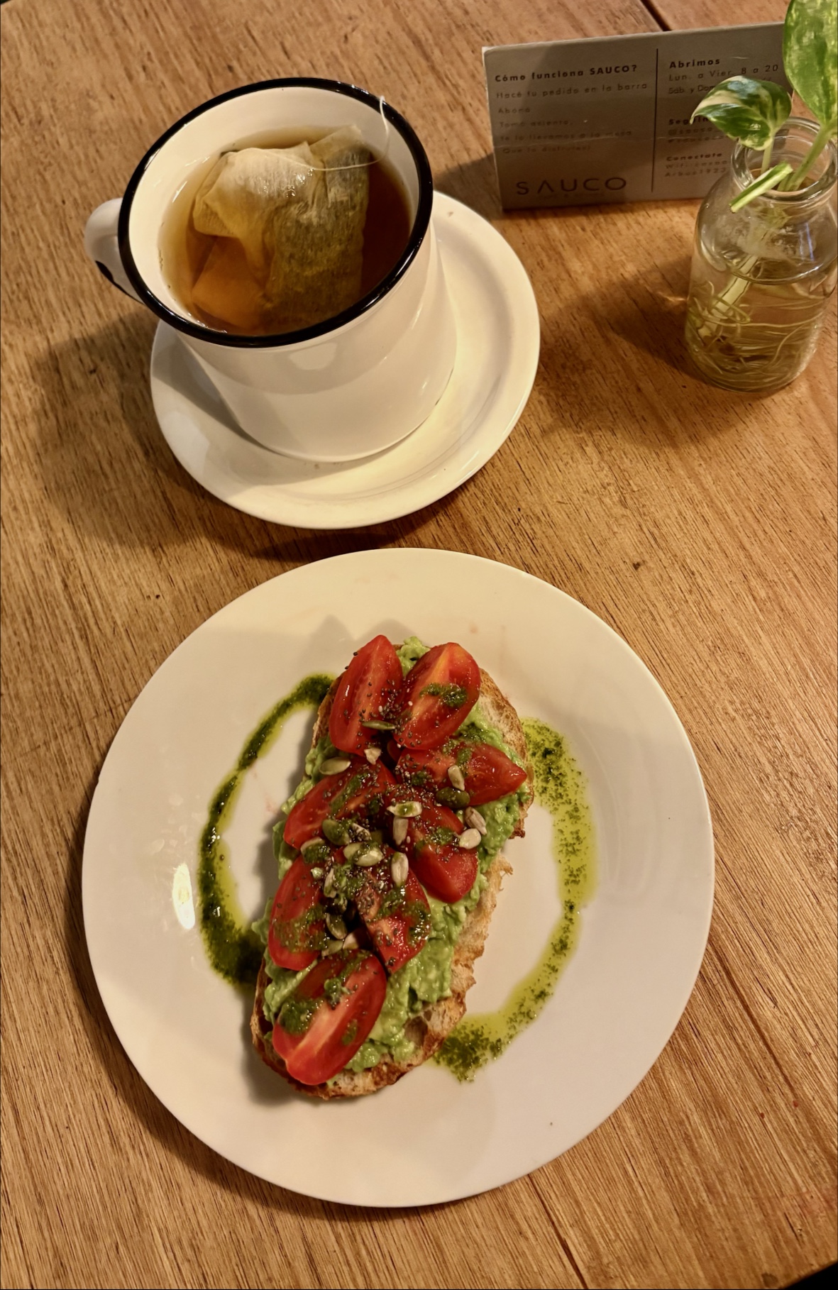 Sauco café