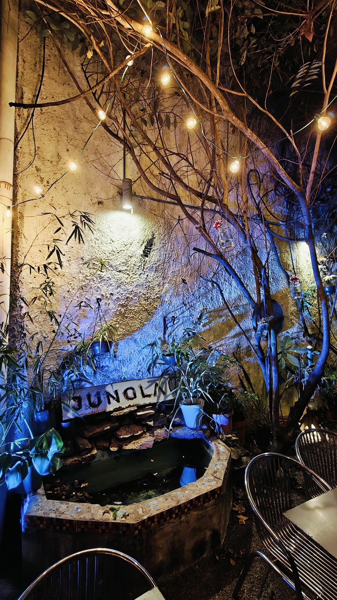 Jungla