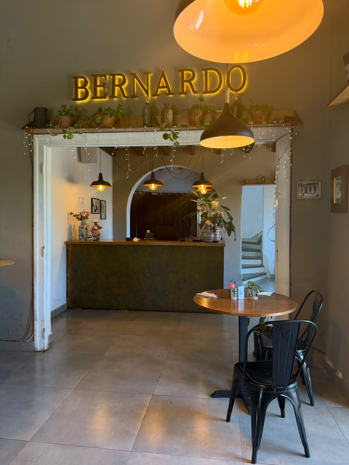 Bernardo