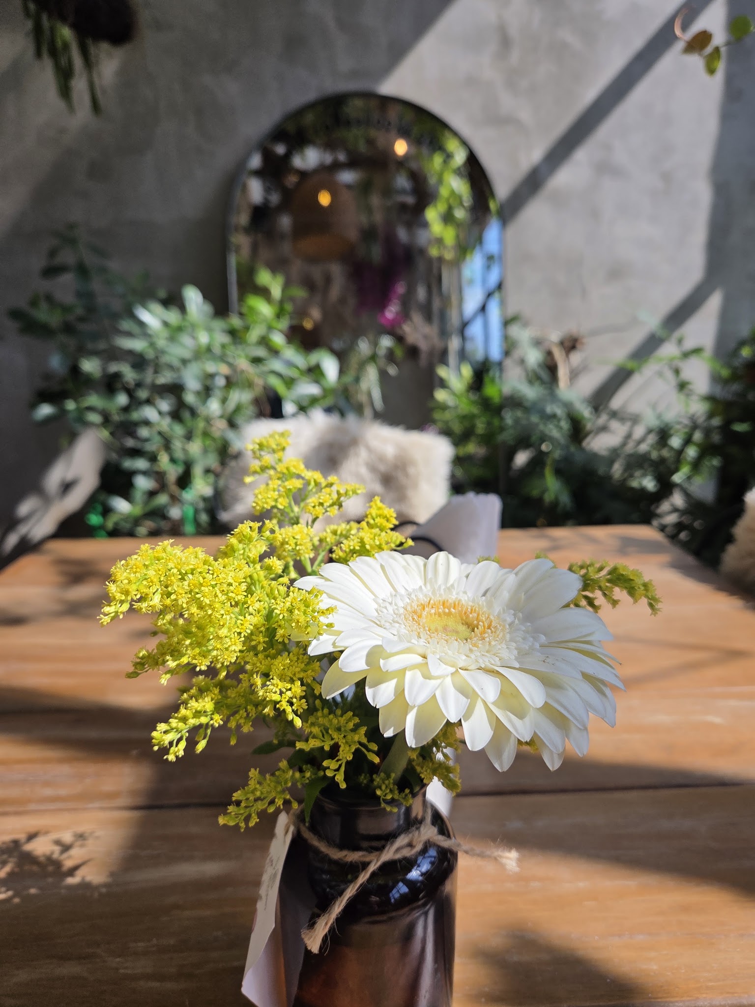 My Garden Flowers