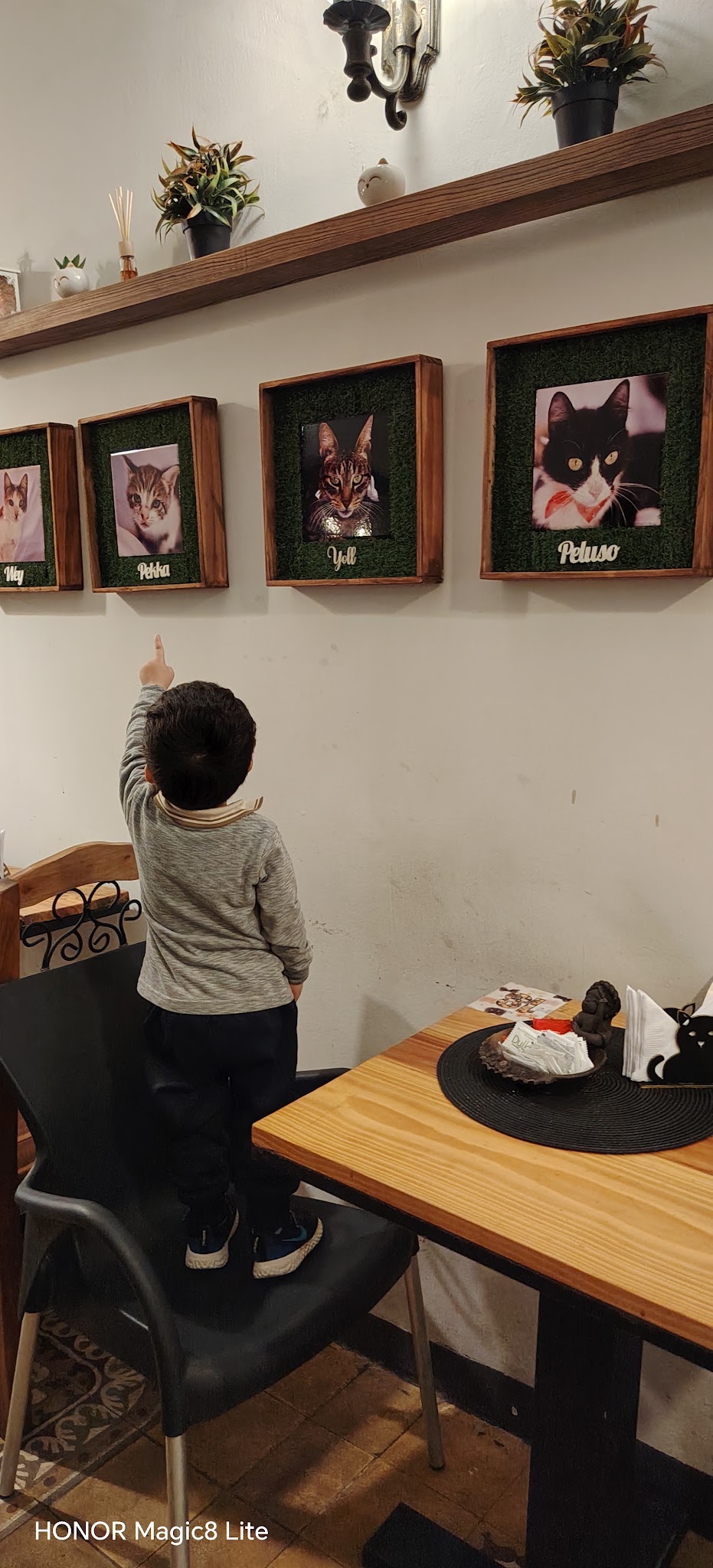 Coffee Cat