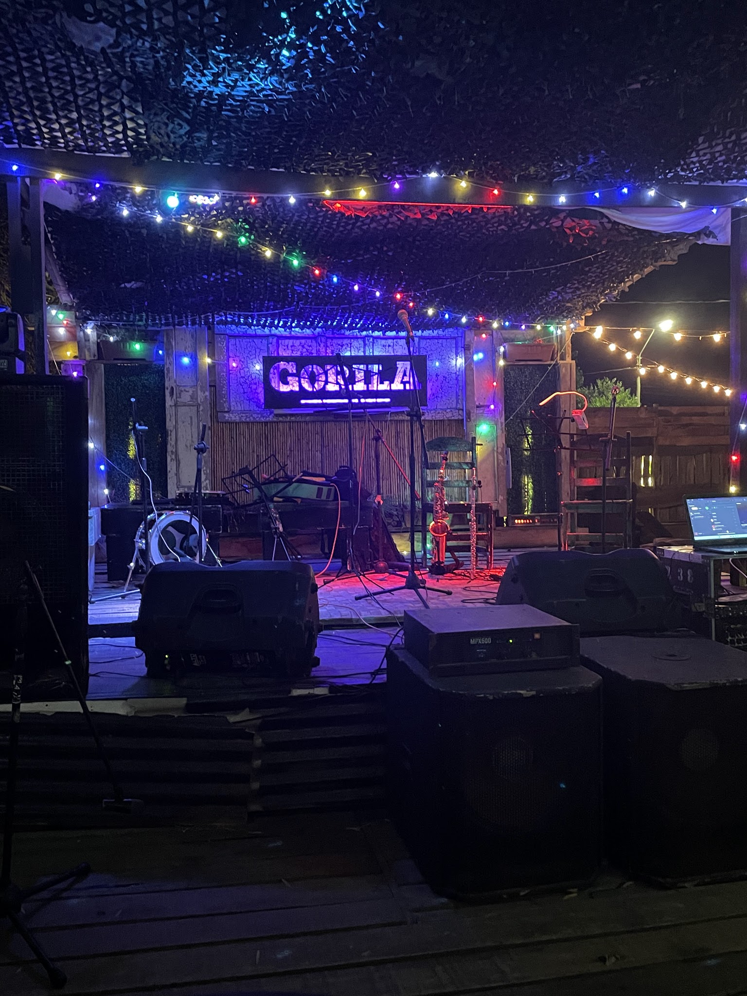 Espacio Gorila