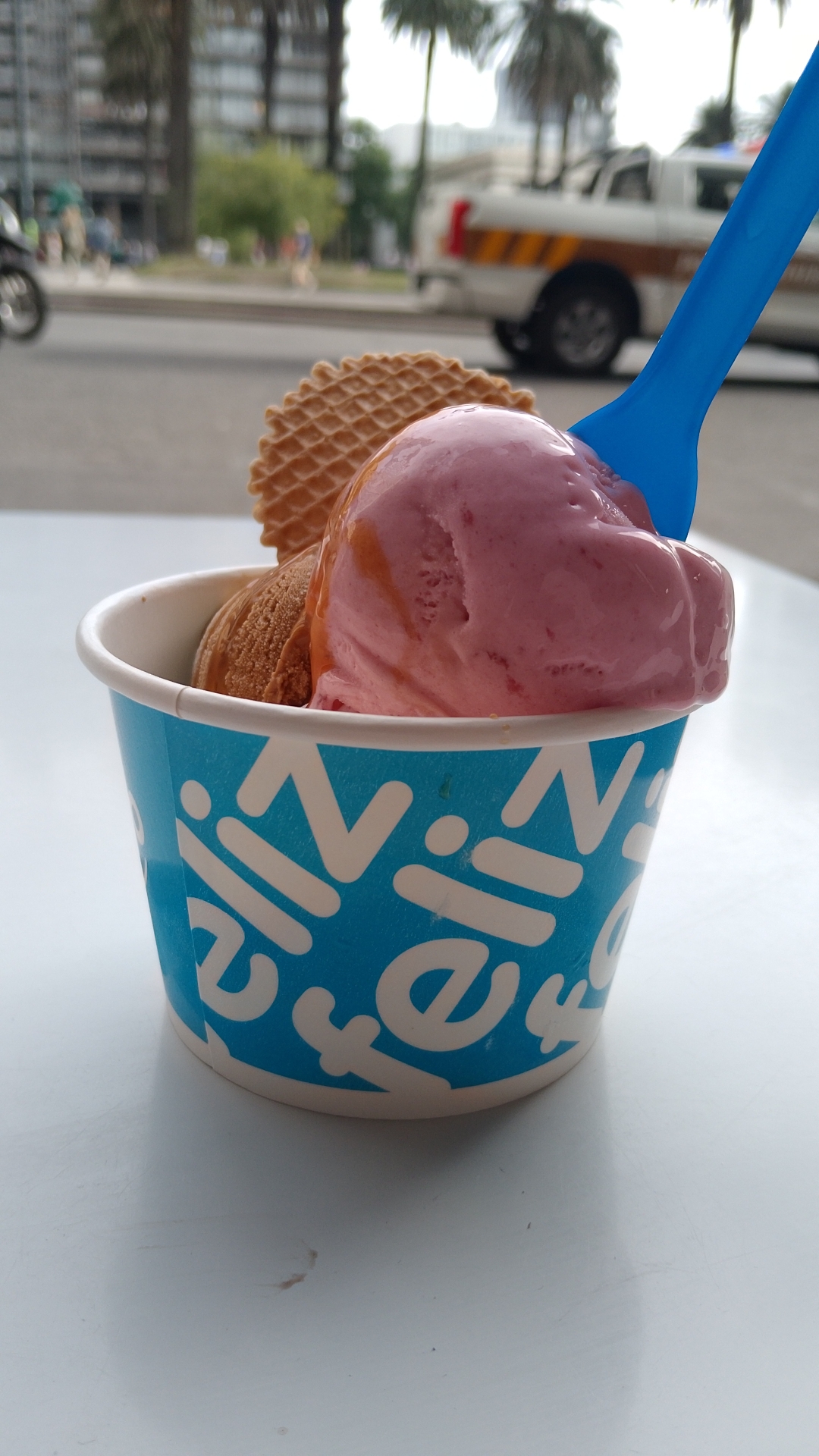 Grido helado · Plaza Independencia