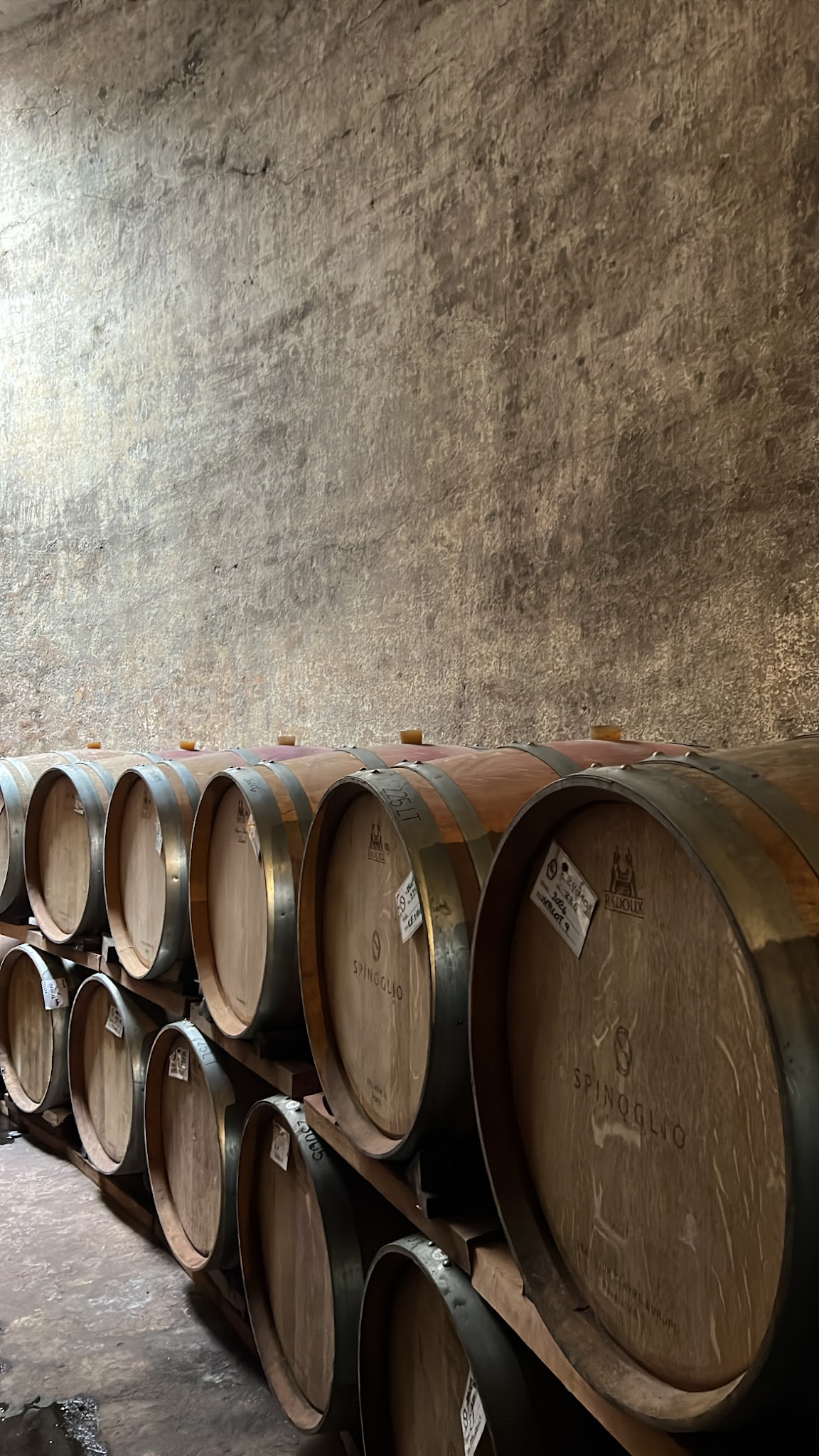 Bodega Spinoglio