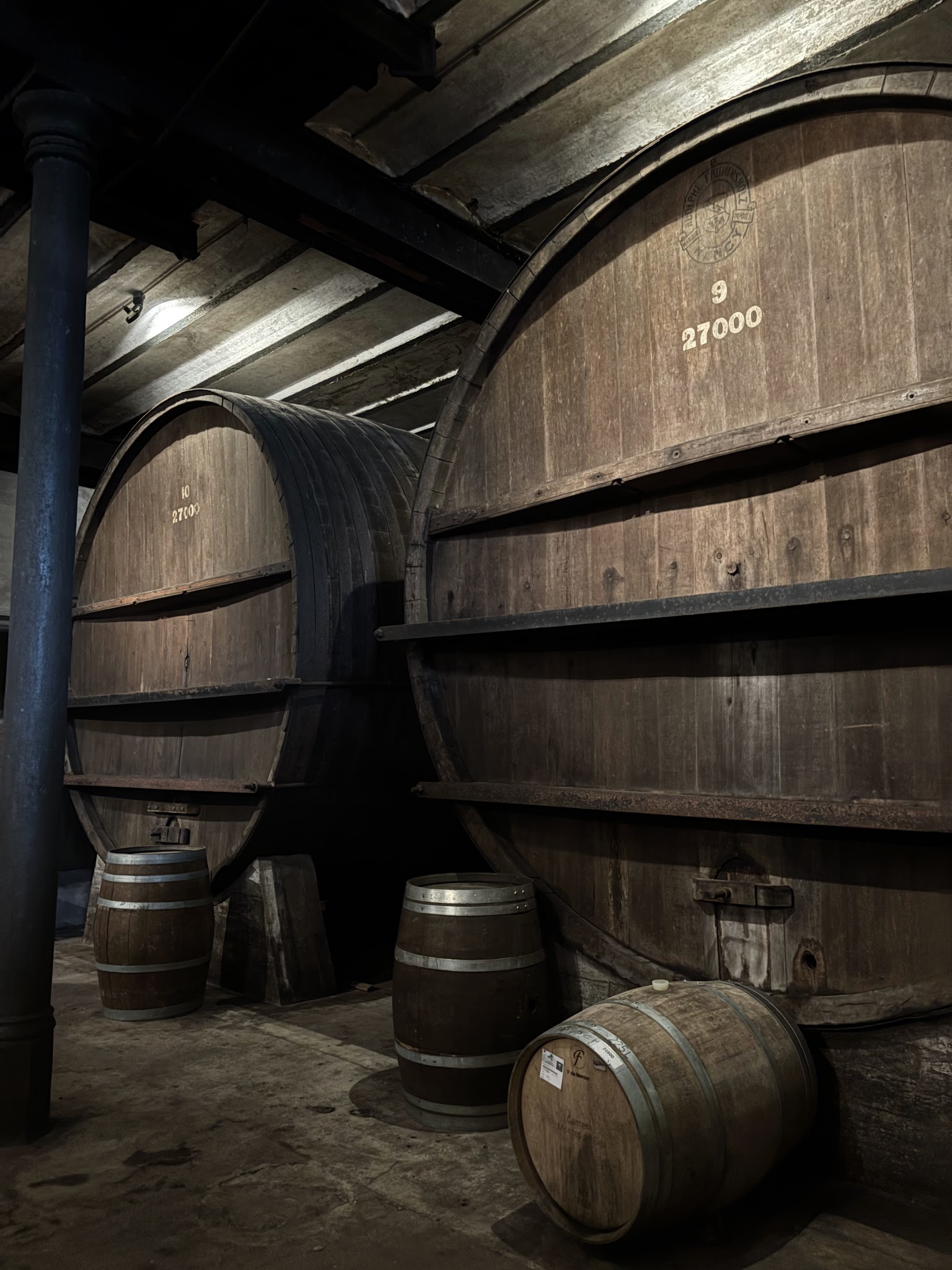 Bodega Spinoglio