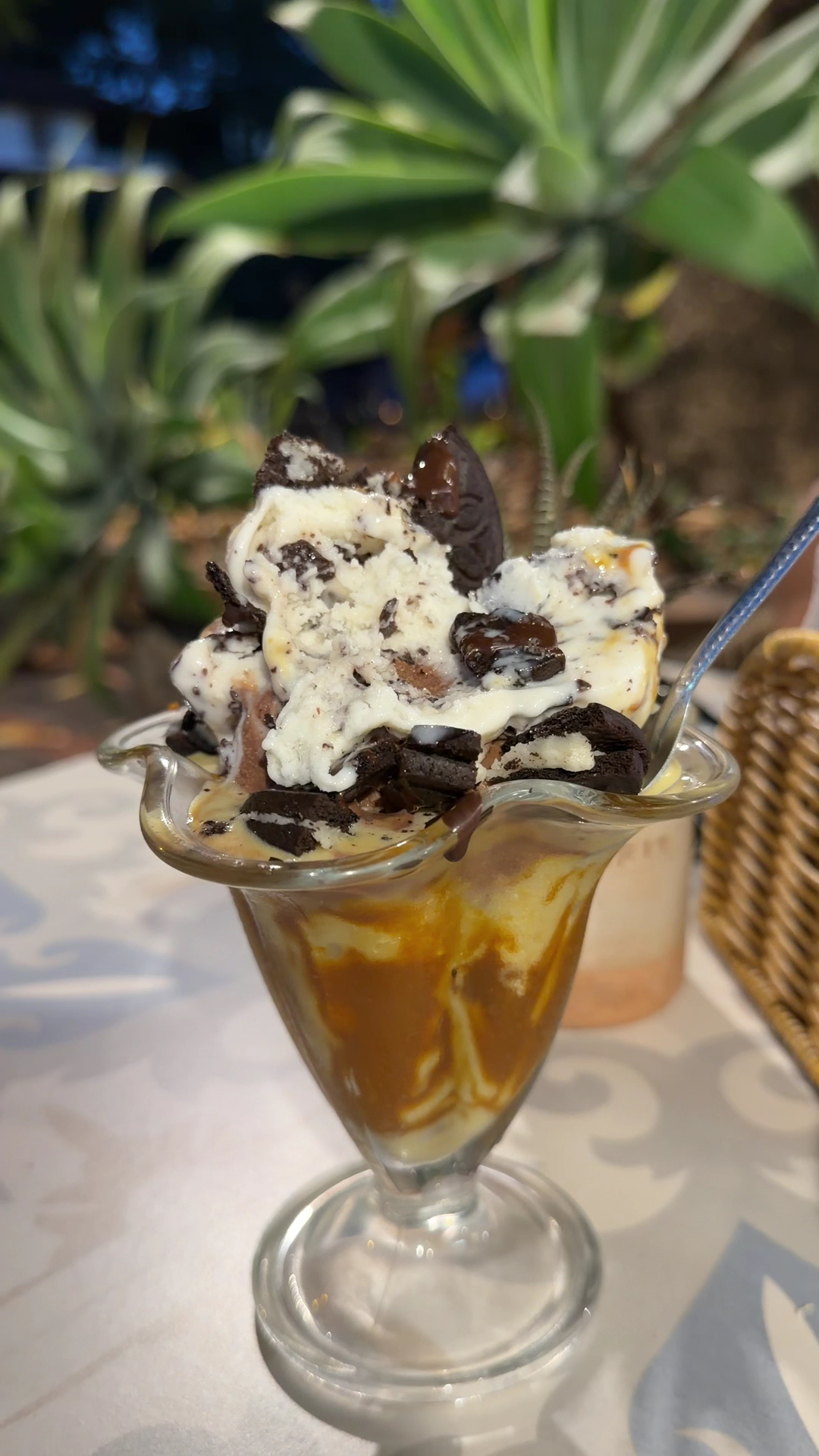 Palefit Helados sin azucar.