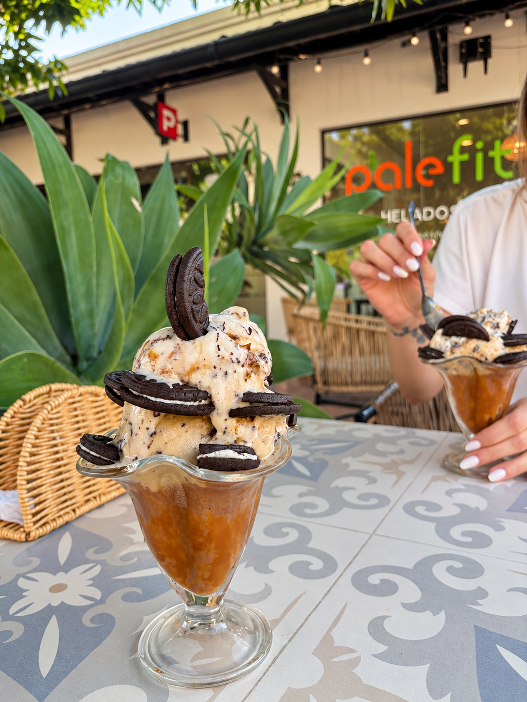 Palefit Helados sin azucar.