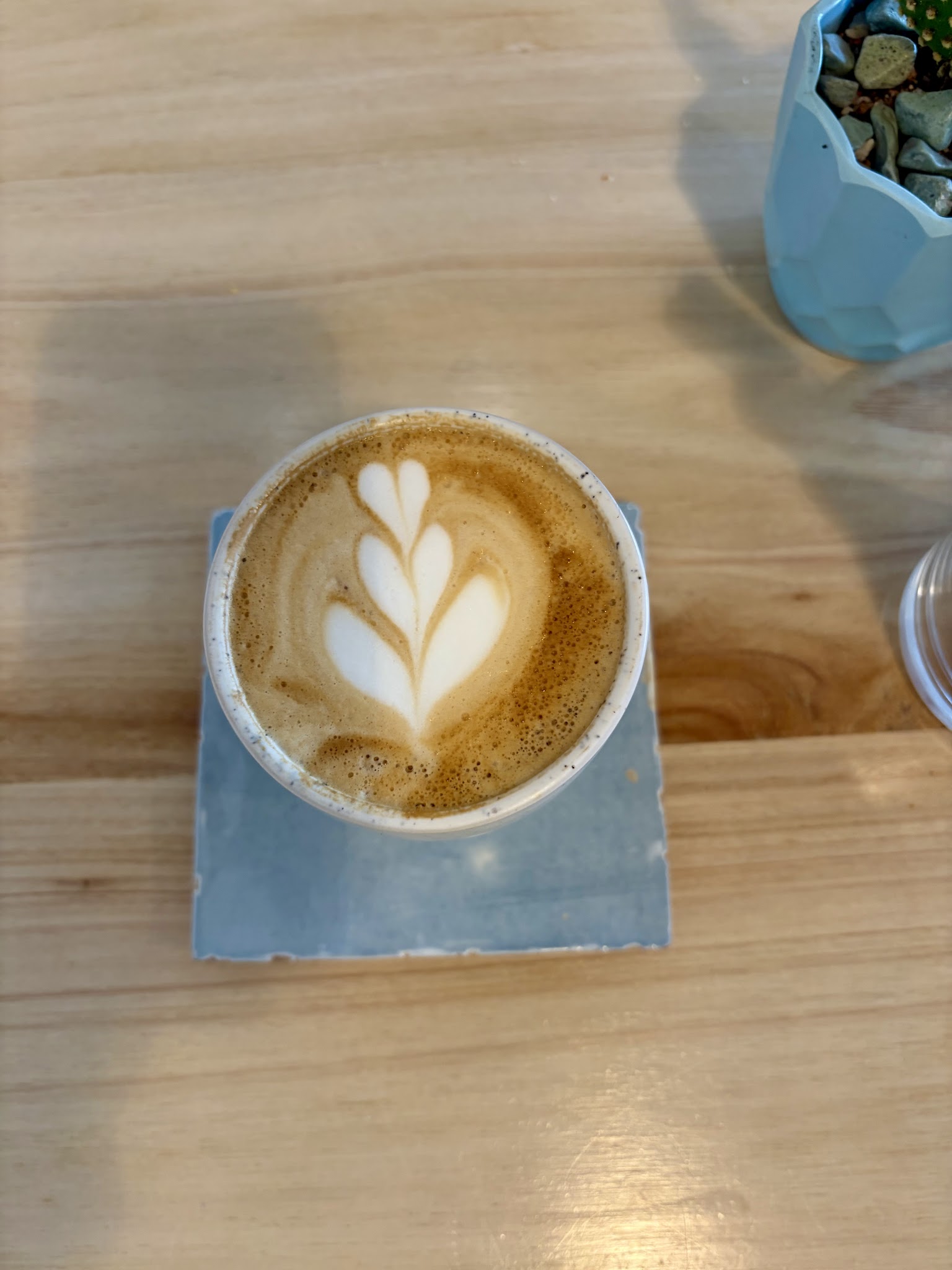 Marqués Café de Especialidad