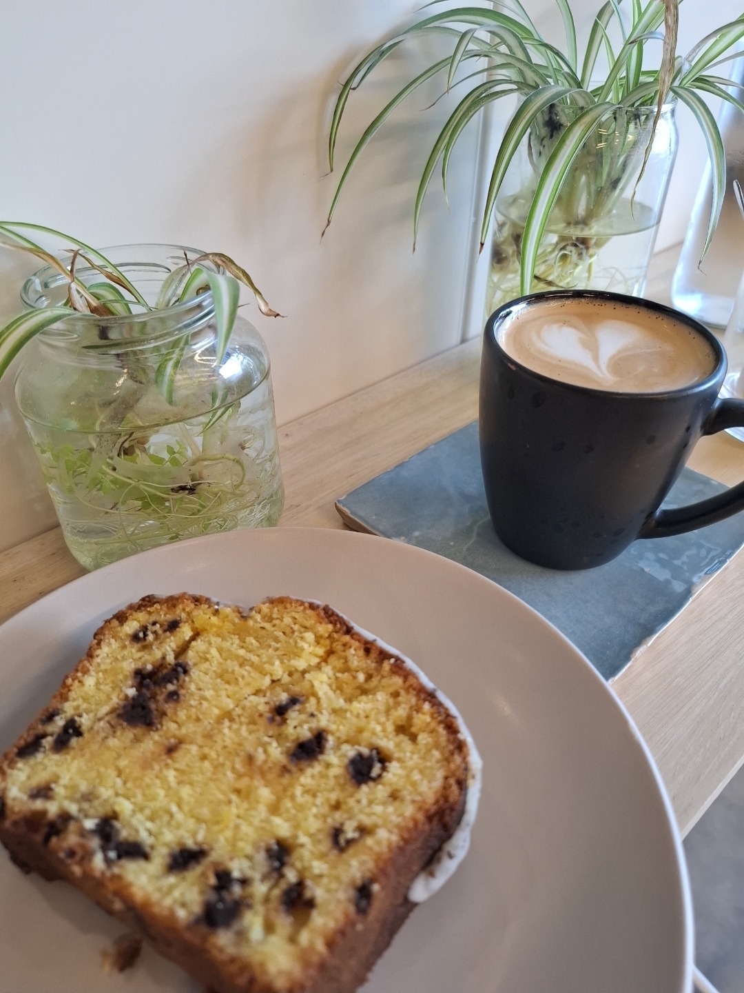 Marqués Café de Especialidad