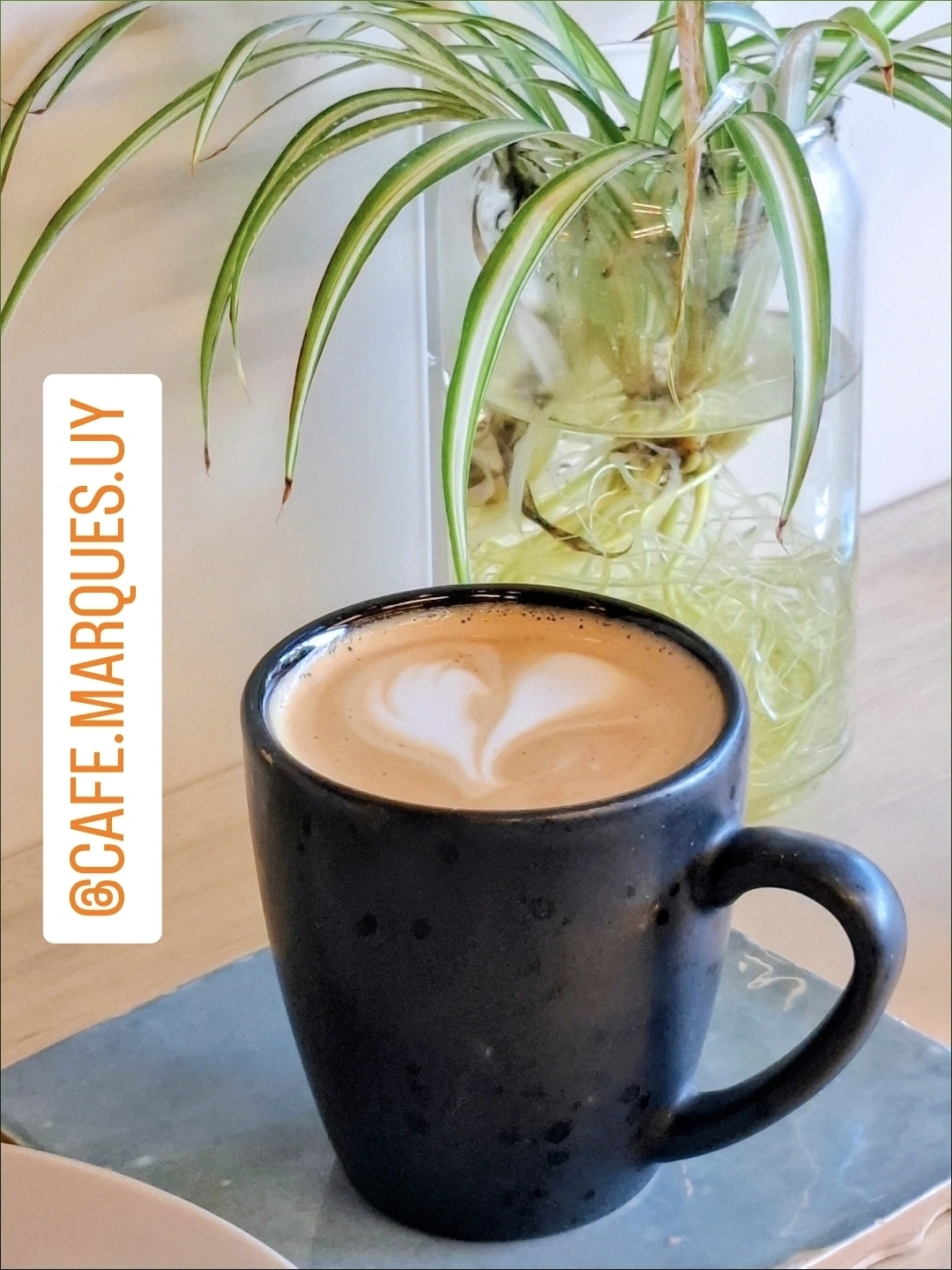 Marqués Café de Especialidad