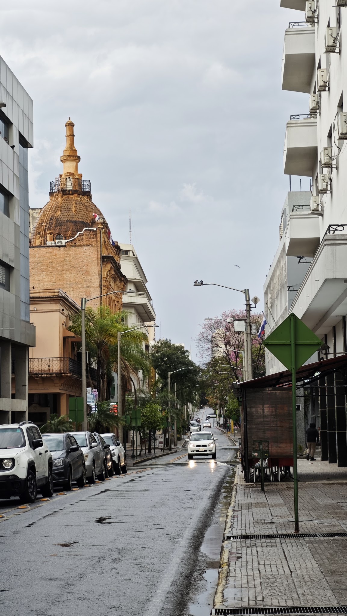 Bellini - Palma