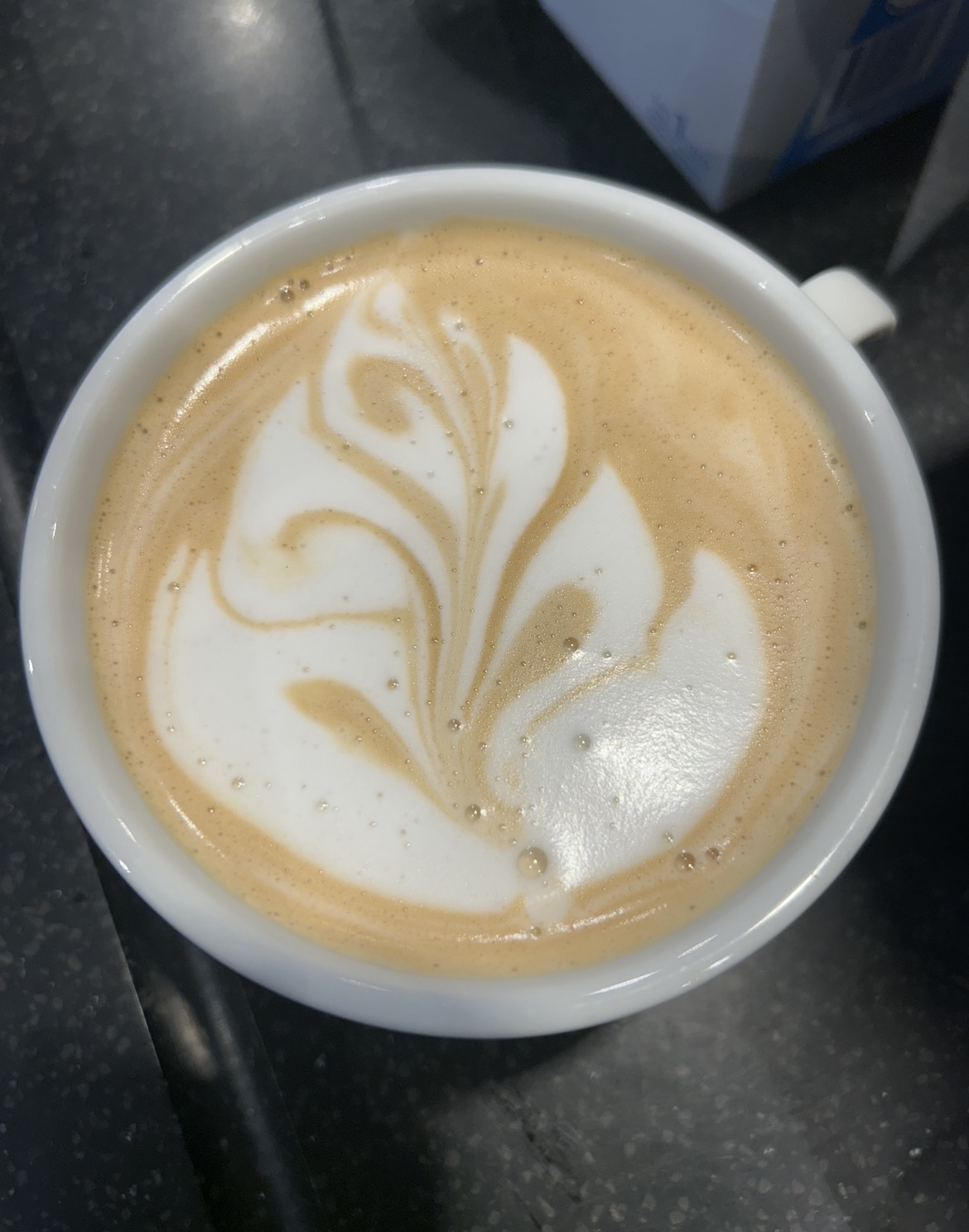 Starbucks · José Ellauri