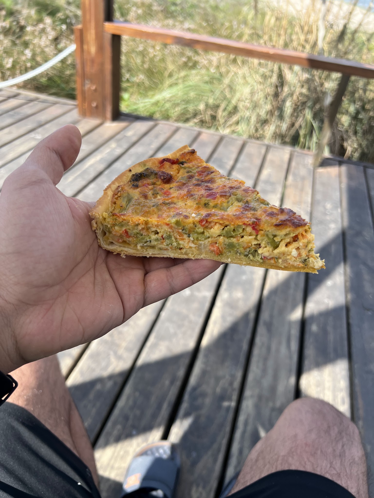 Mi Paloma