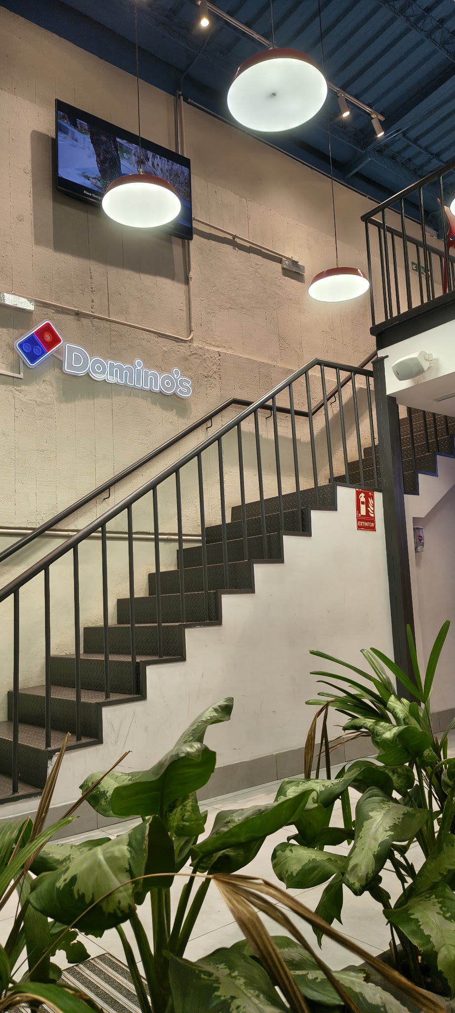 Domino's Pizza