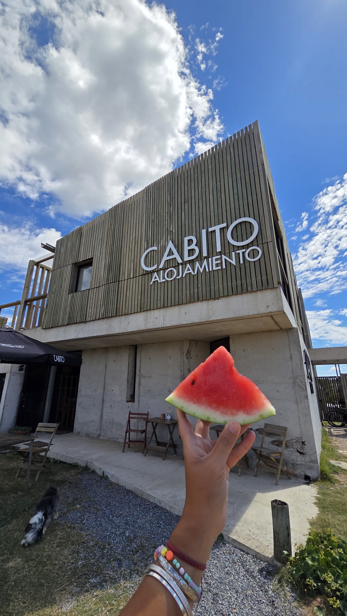 Cabito La Paloma